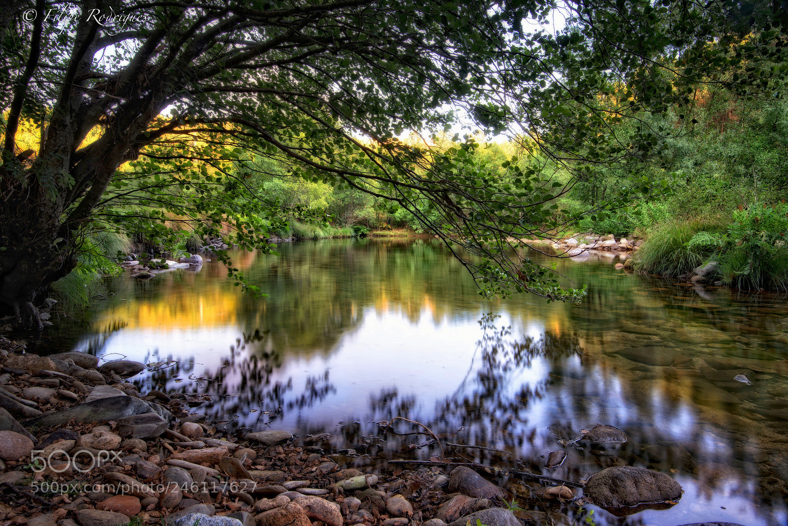Nikon D800E sample photo. Paiva river photography