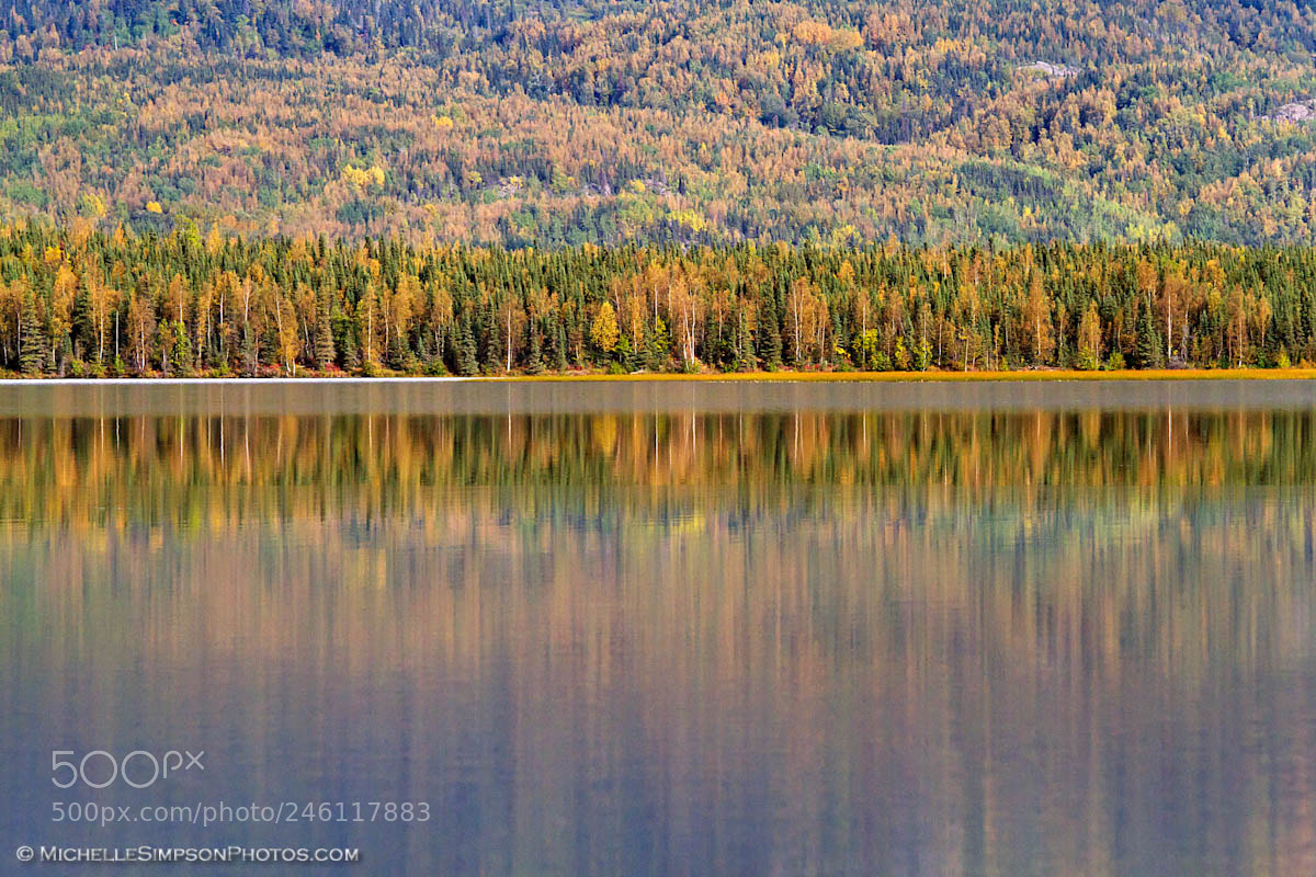 Canon EOS 7D sample photo. Alaskan autumn reflections photography