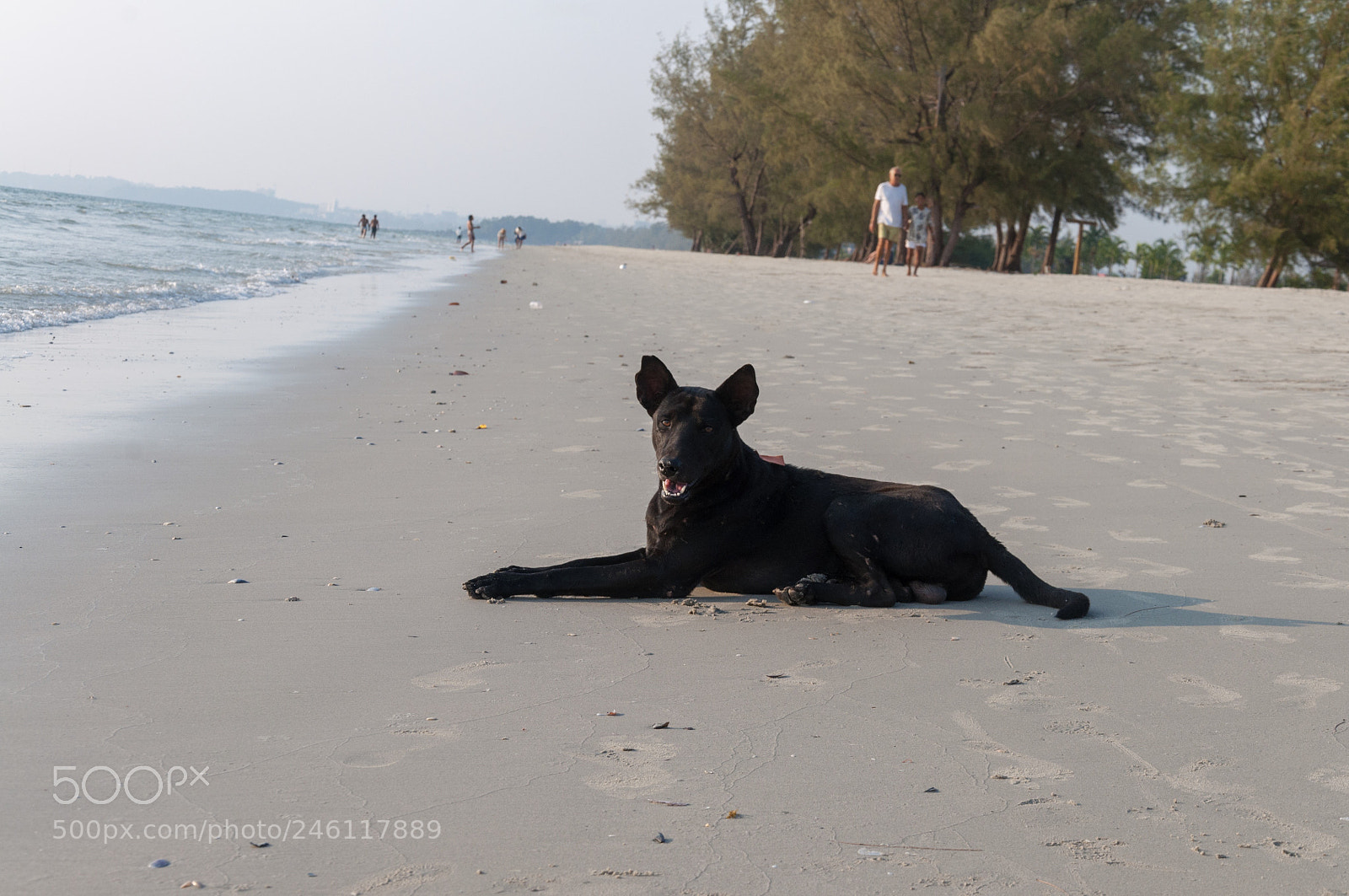 Nikon D5000 sample photo. Chill photography
