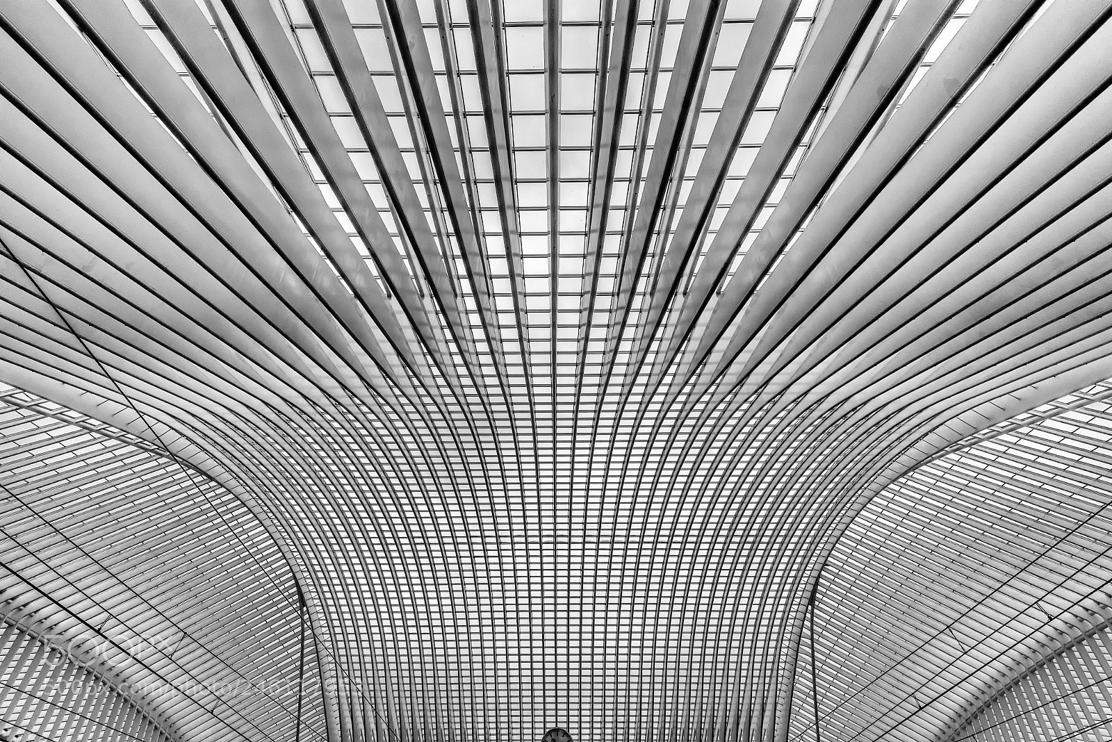 Nikon D810 sample photo. Bahnhof li ge-guillemins the photography
