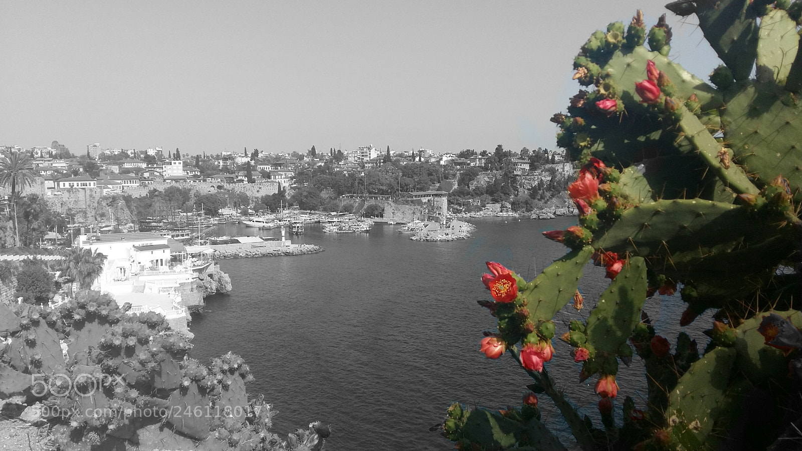 Samsung Galaxy A5 sample photo. Untitled photography