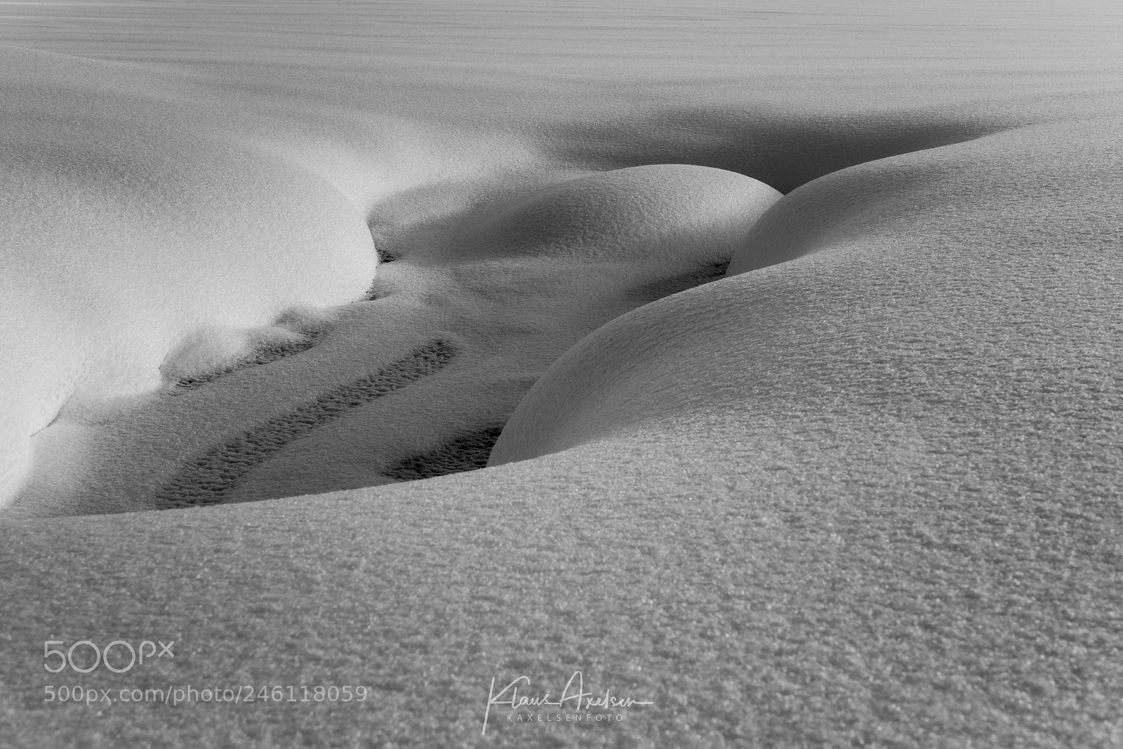 Sony a7R II sample photo. Subtle contrasts of snow photography