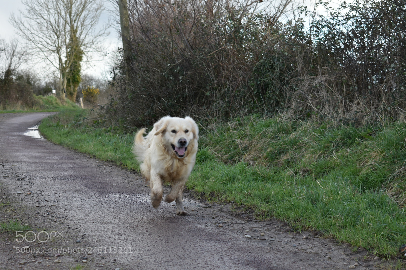 Nikon D3400 sample photo. At the good times photography