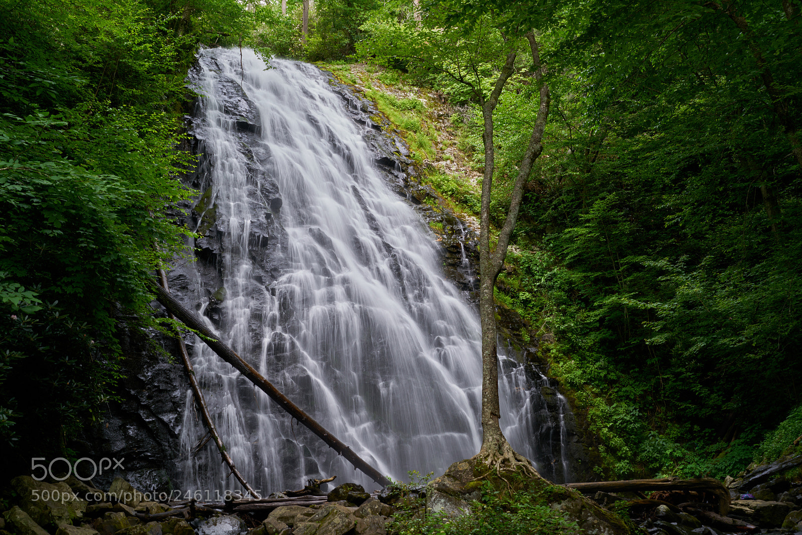 Sony a7R II sample photo. Asheville 4th july 2017 photography