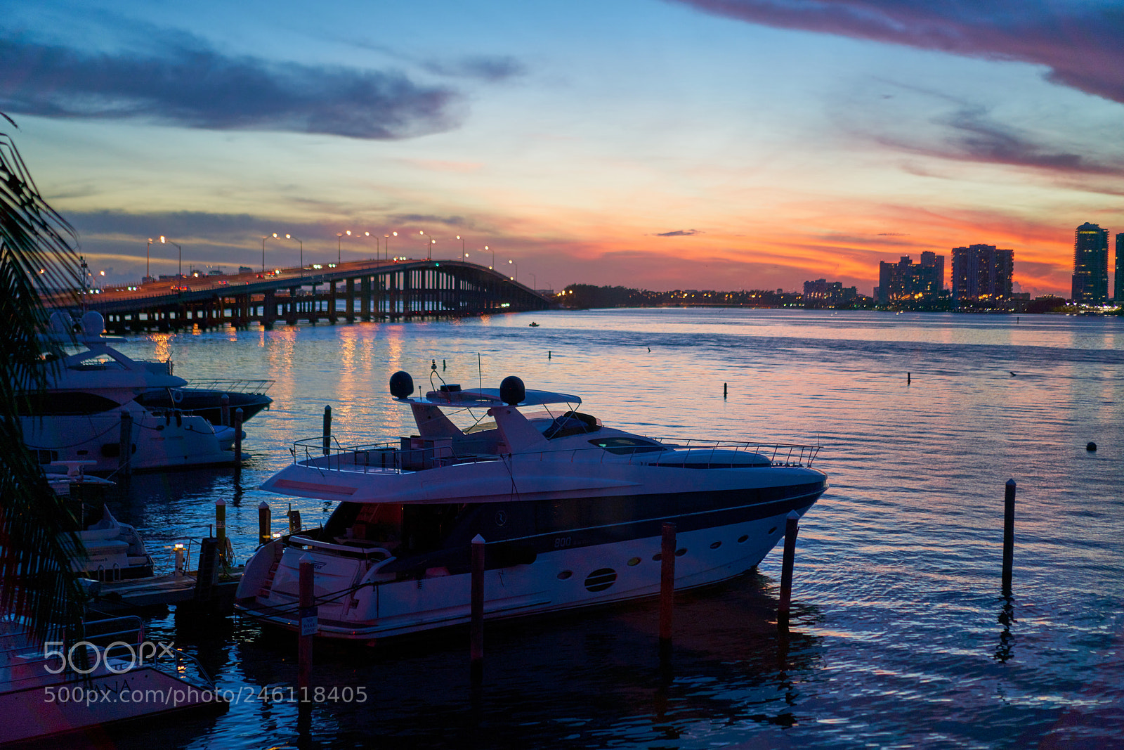 Sony a7R II sample photo. Rustick pelikan photography