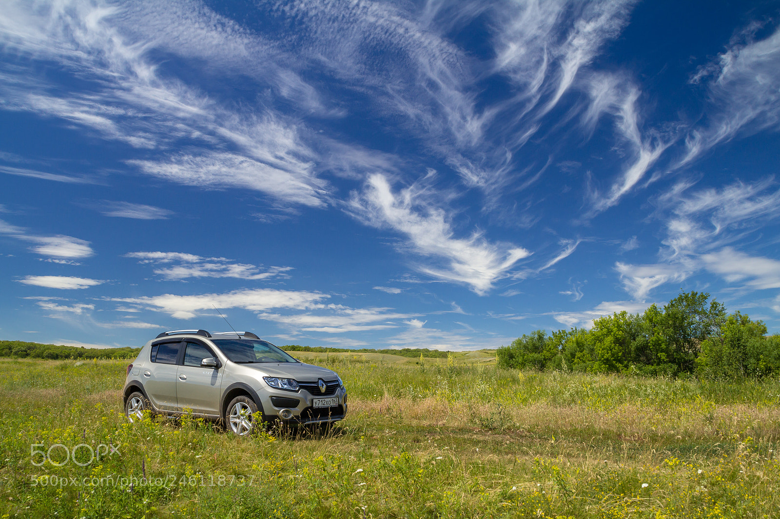 Canon EOS 600D (Rebel EOS T3i / EOS Kiss X5) sample photo. Car on the field photography