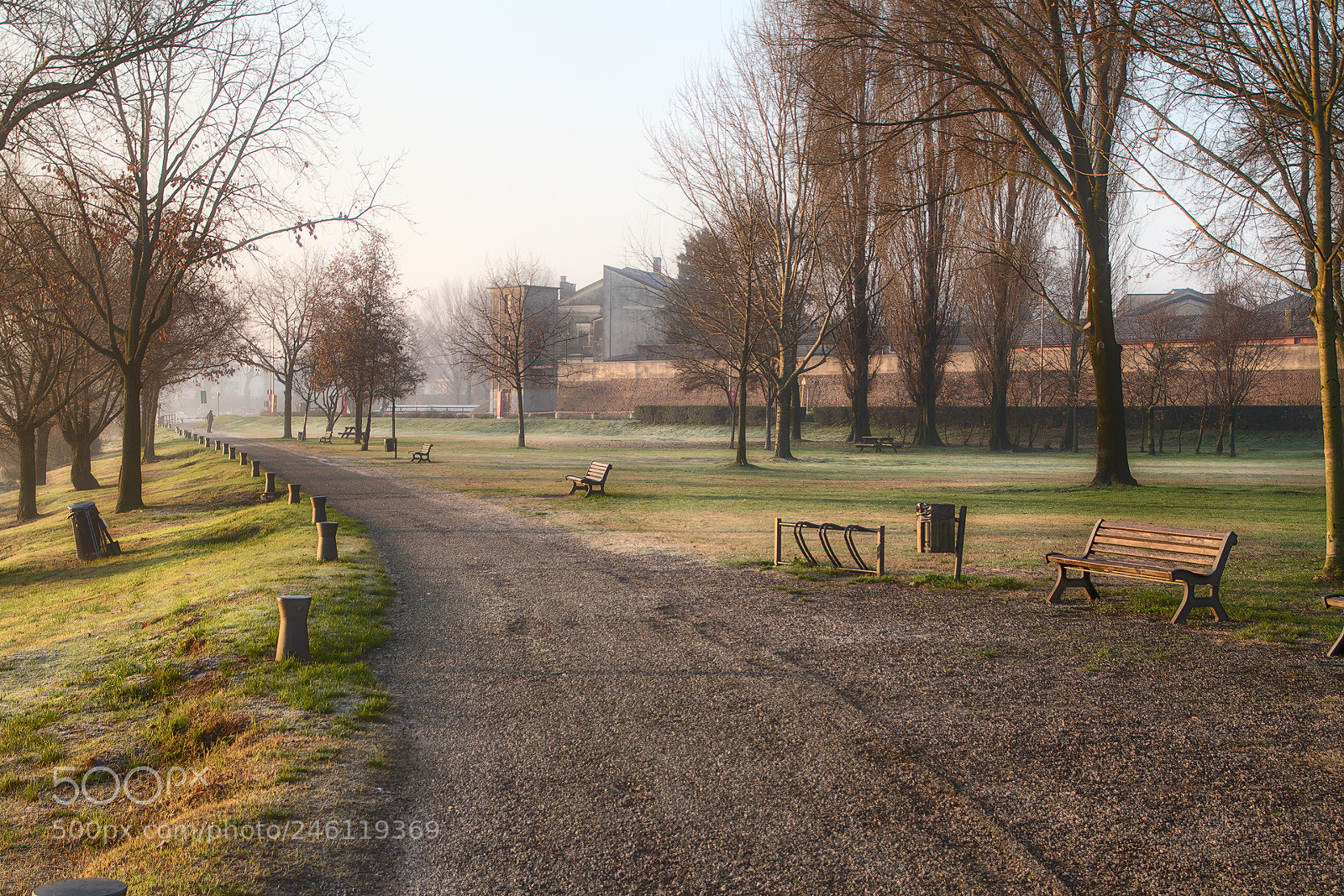 Canon EOS 7D sample photo. Winter photography