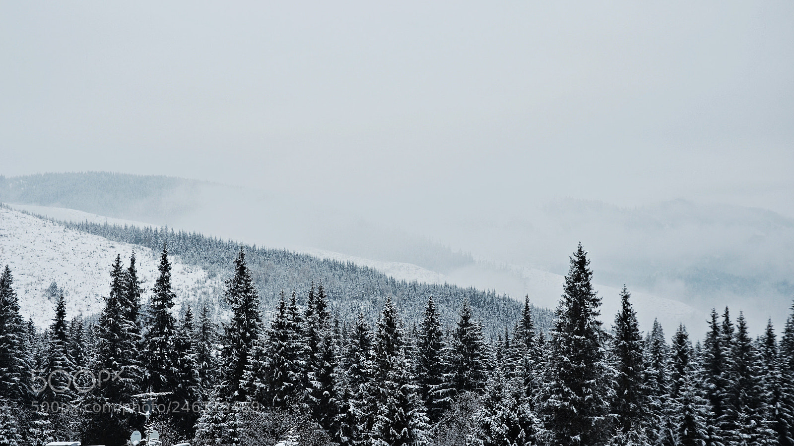 Nikon D5100 sample photo. Po s owackiej stronie photography