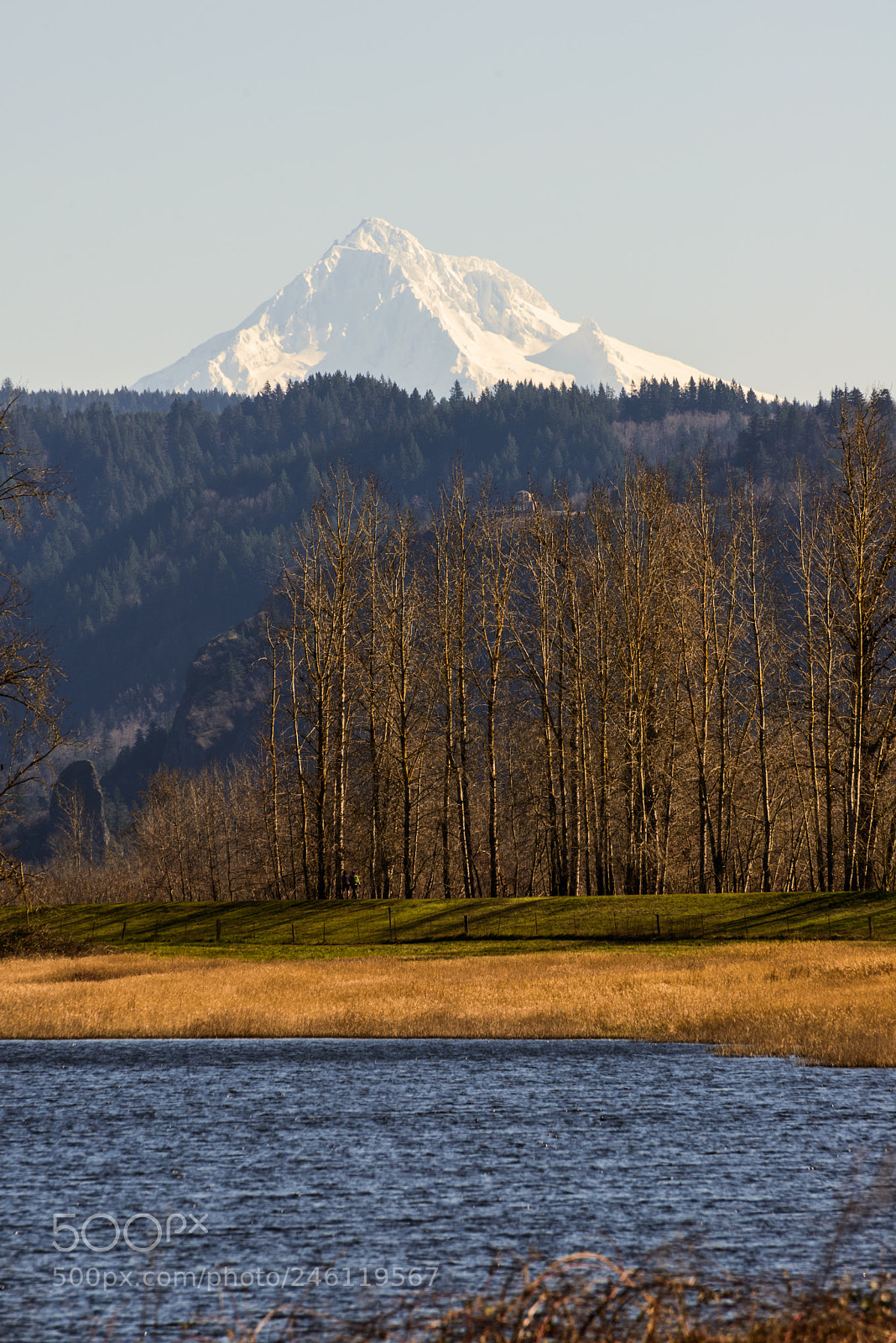 Nikon D800 sample photo. Washington to oregon photography
