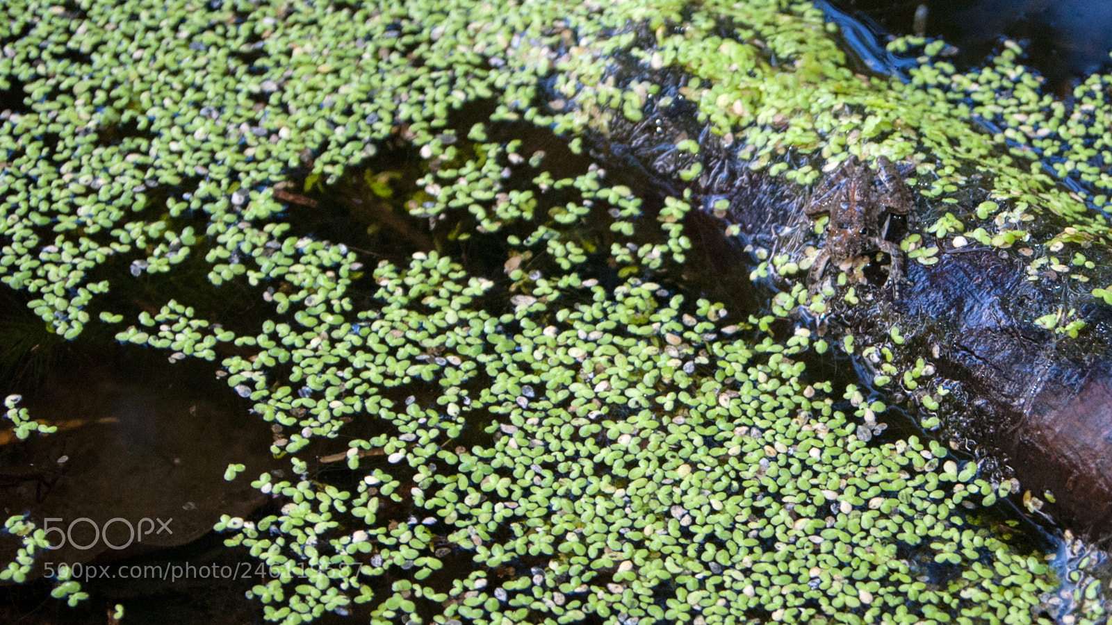 Sony Alpha DSLR-A230 sample photo. Dsc06759 photography