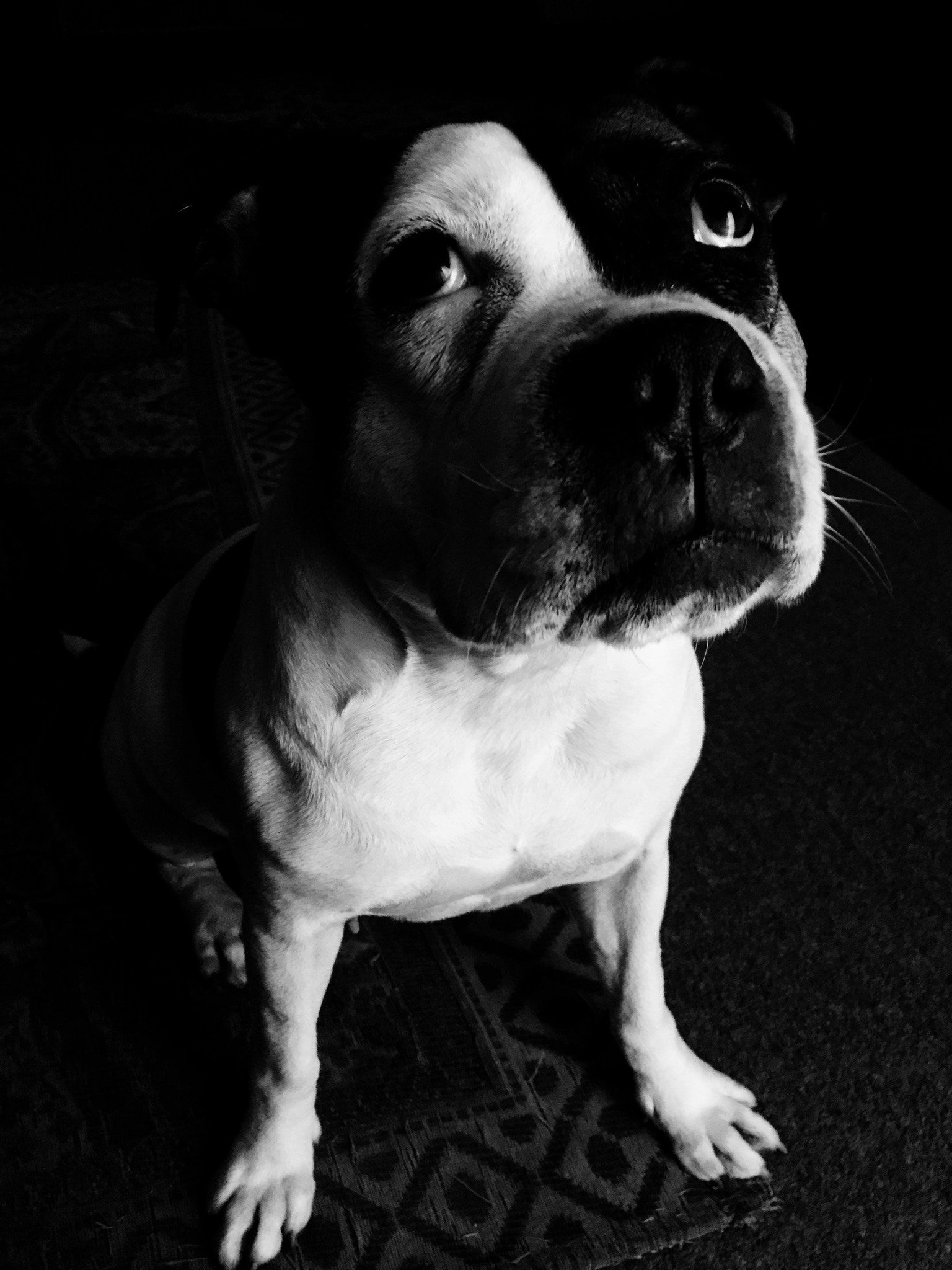 Blackie Camera sample photo