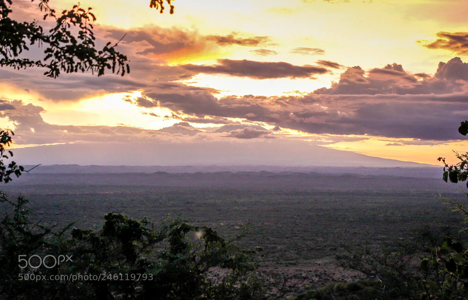 Canon EOS 550D (EOS Rebel T2i / EOS Kiss X4) sample photo. Mount kilimanjaro photography