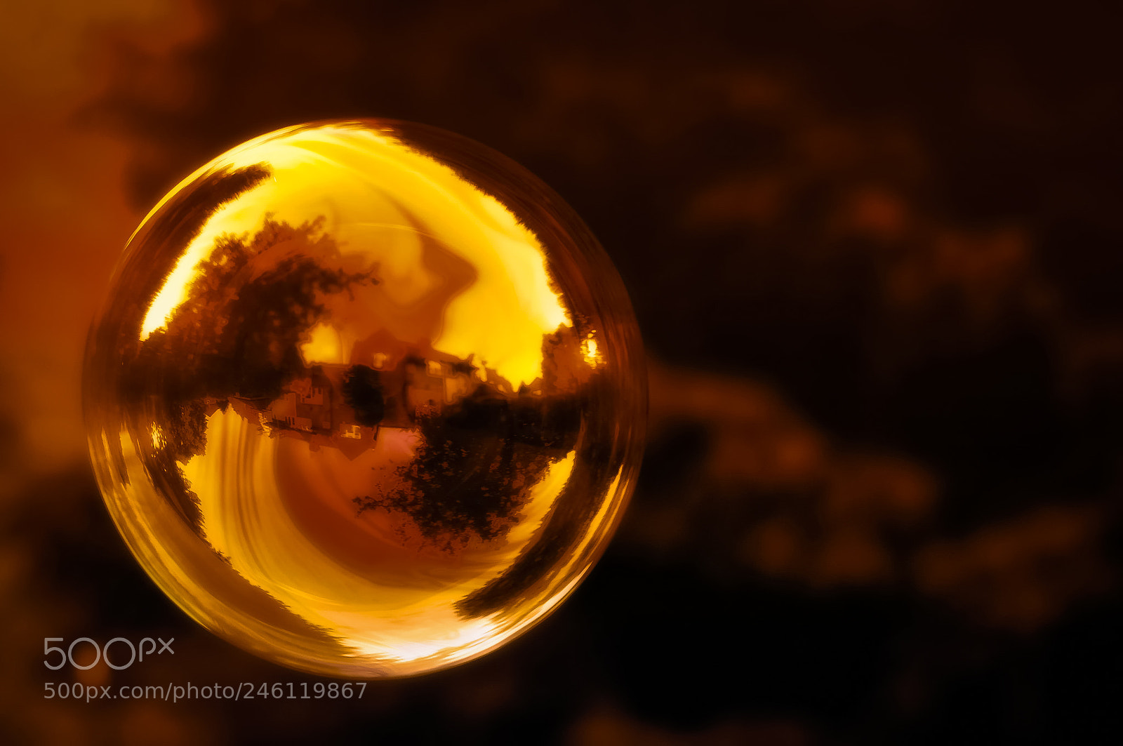 Nikon D300S sample photo. Golden bubble photography