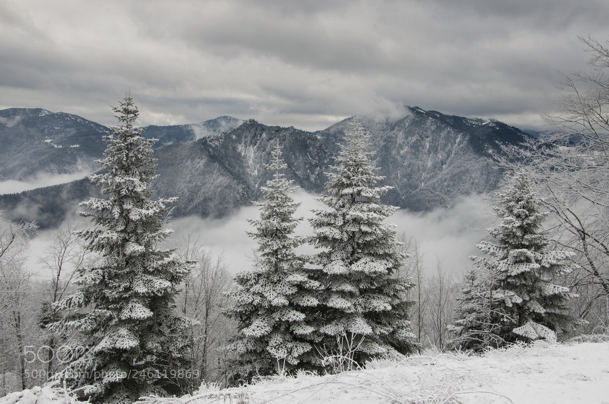 Nikon D90 sample photo. Winter photography