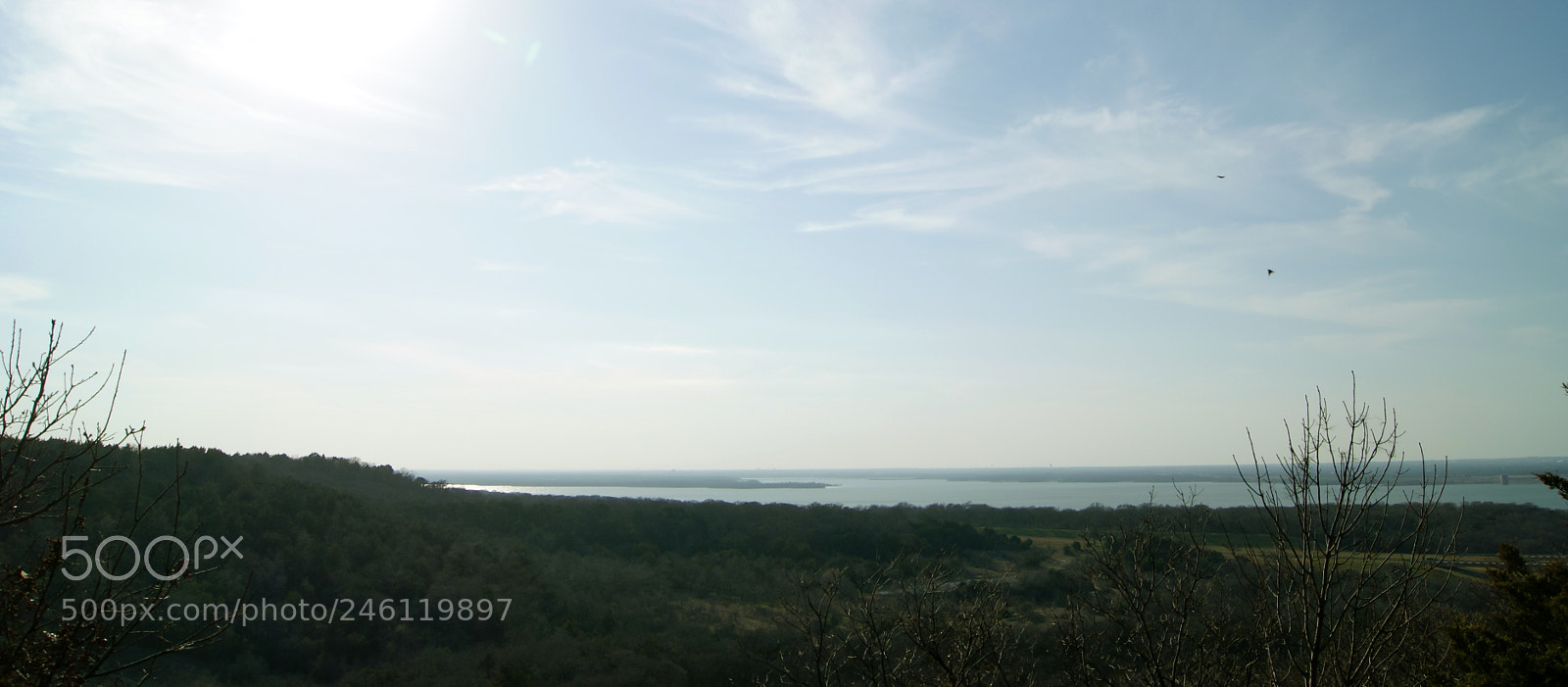 Sony Alpha DSLR-A230 sample photo. Dsc04708 photography