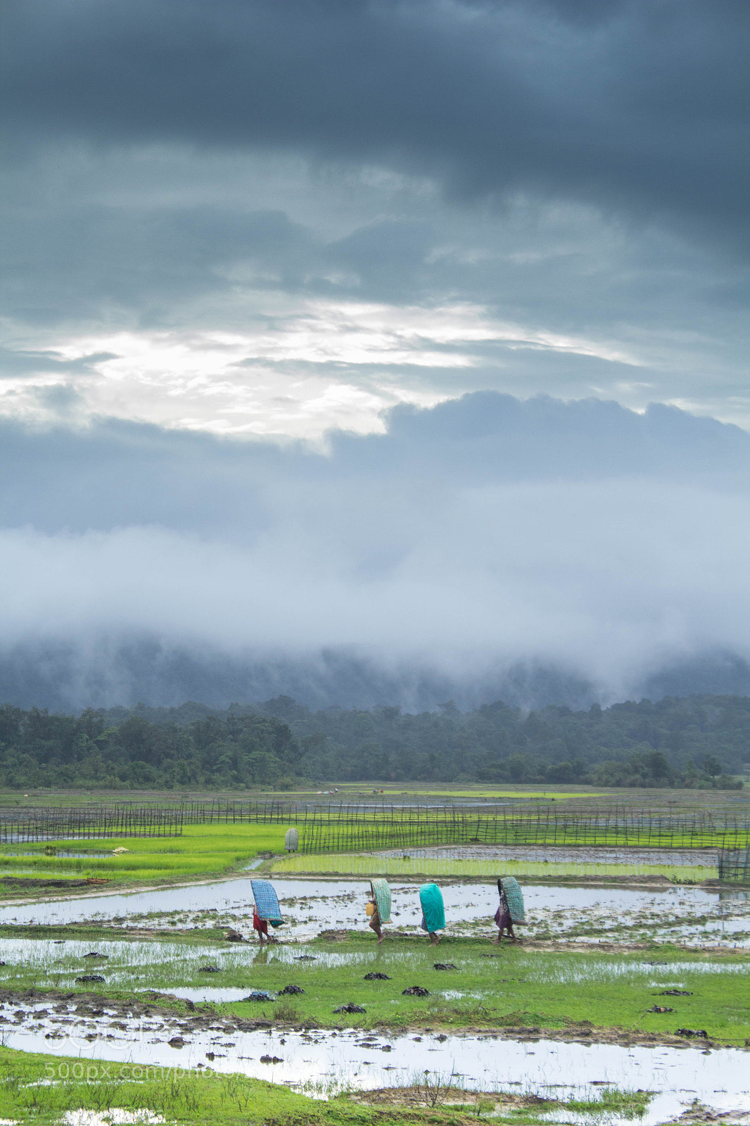 Canon EOS 60D sample photo. Img photography