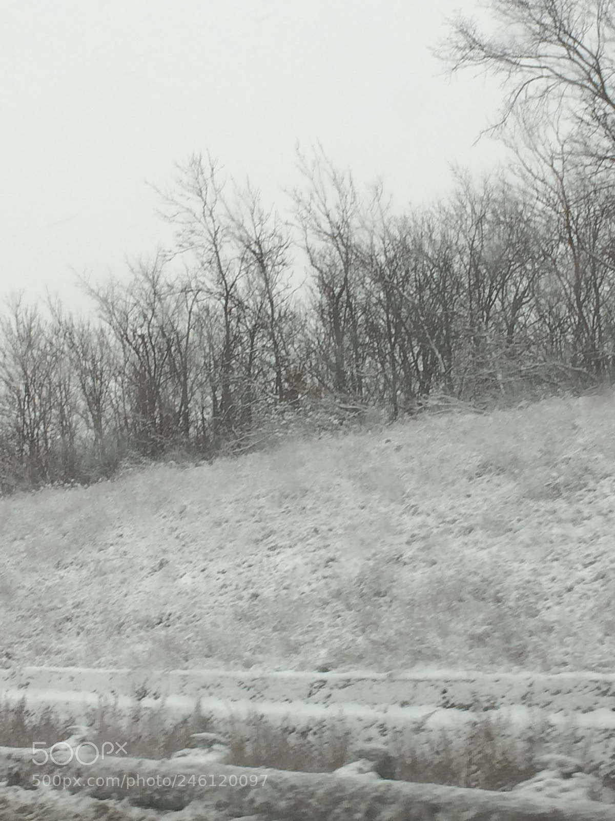 Apple iPhone 5s sample photo. Snow fall photography