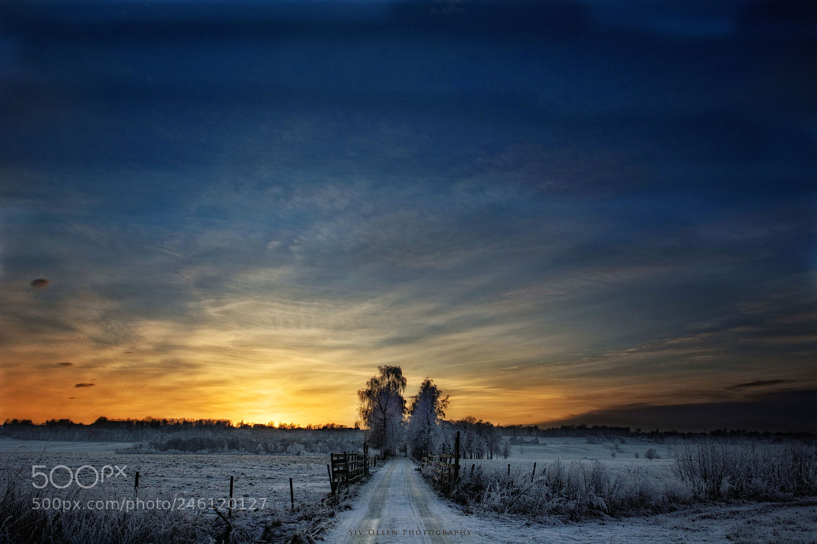 Nikon D7100 sample photo. ~ sunset ~ photography