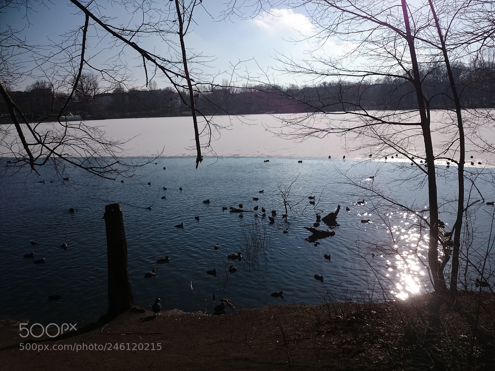 Sony Xperia Z2 sample photo. D nnes eis auf photography