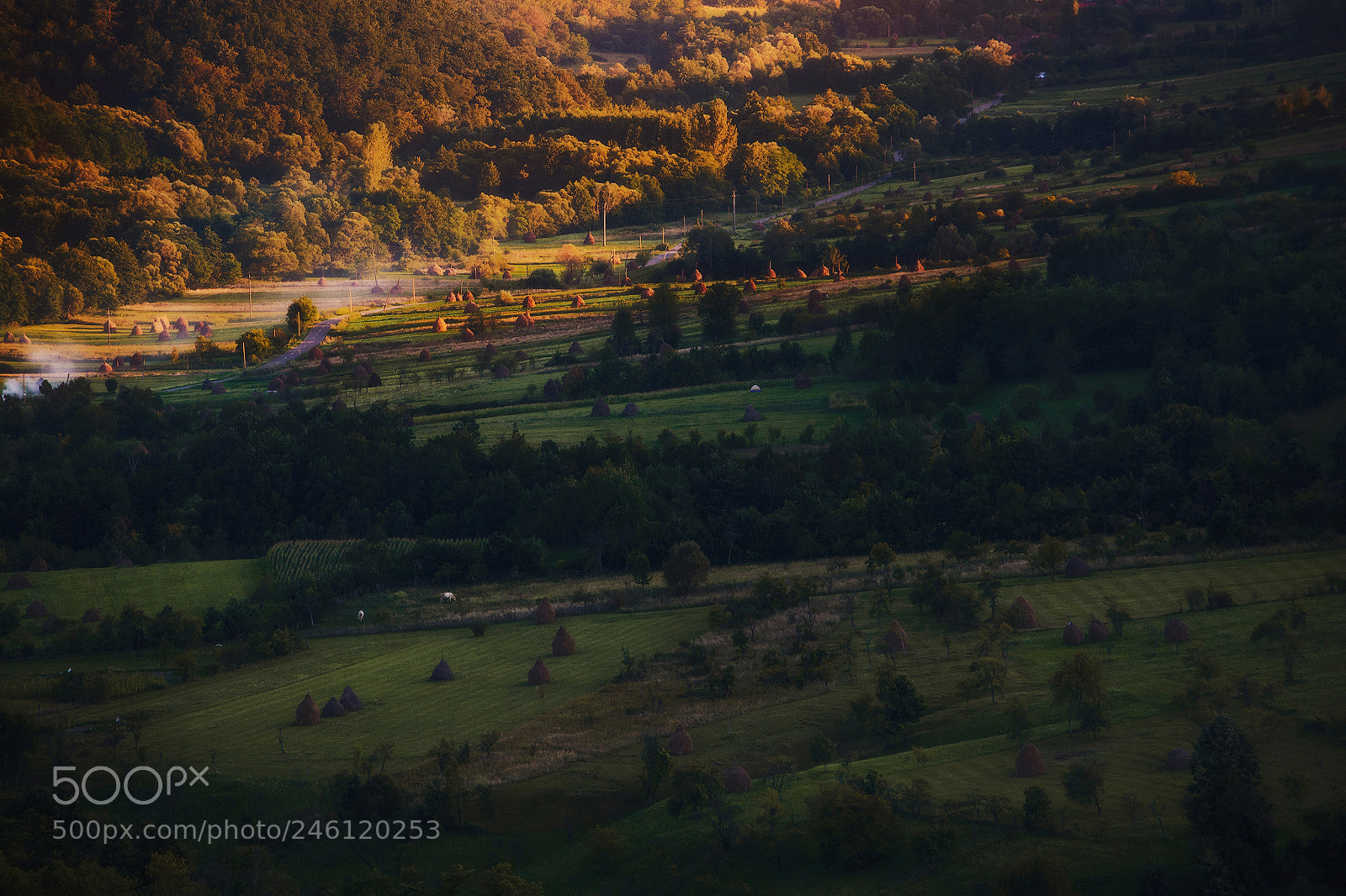 Nikon D5200 sample photo. Country life photography