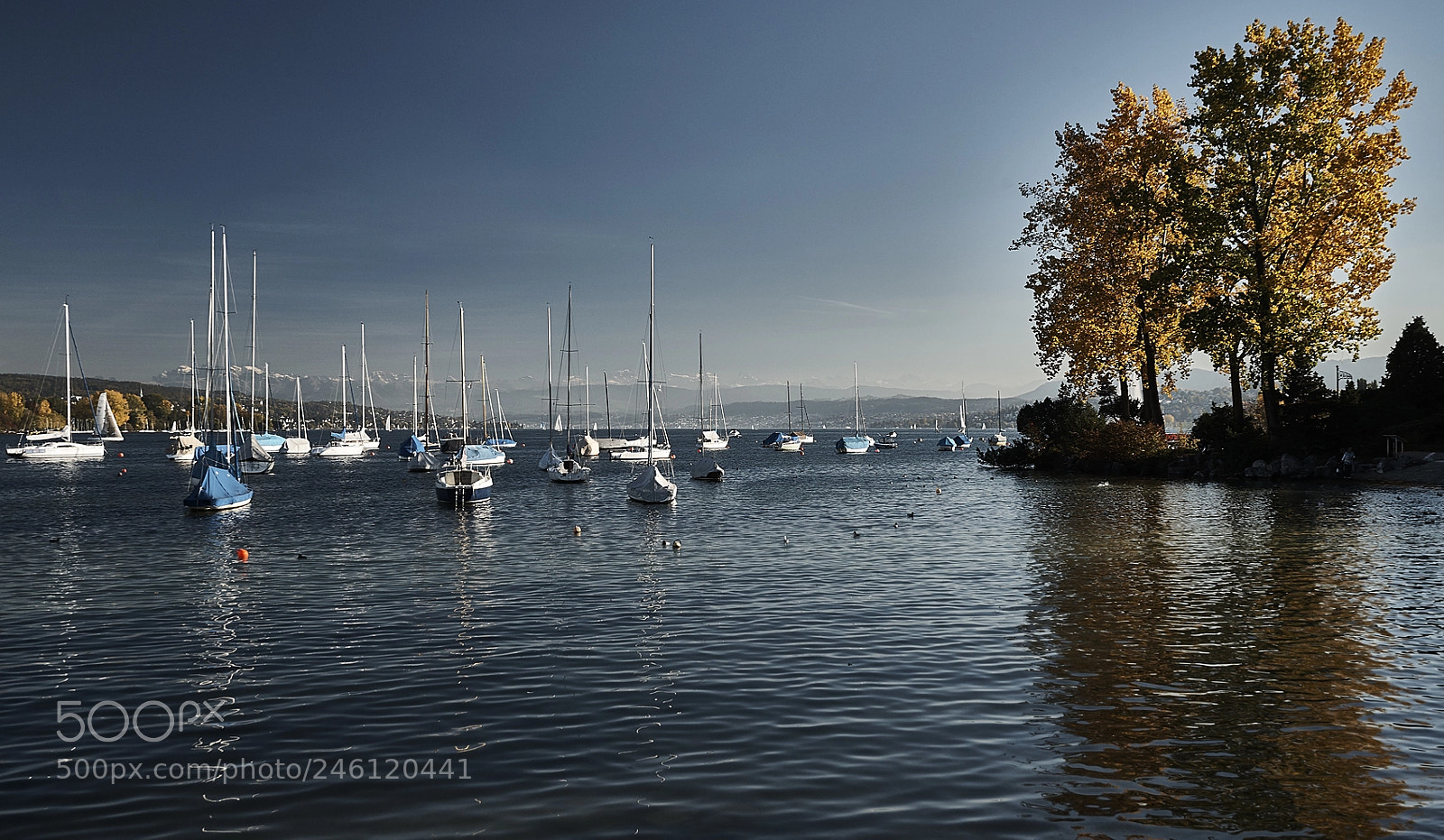 Sony a7 II sample photo. Autumn mood photography