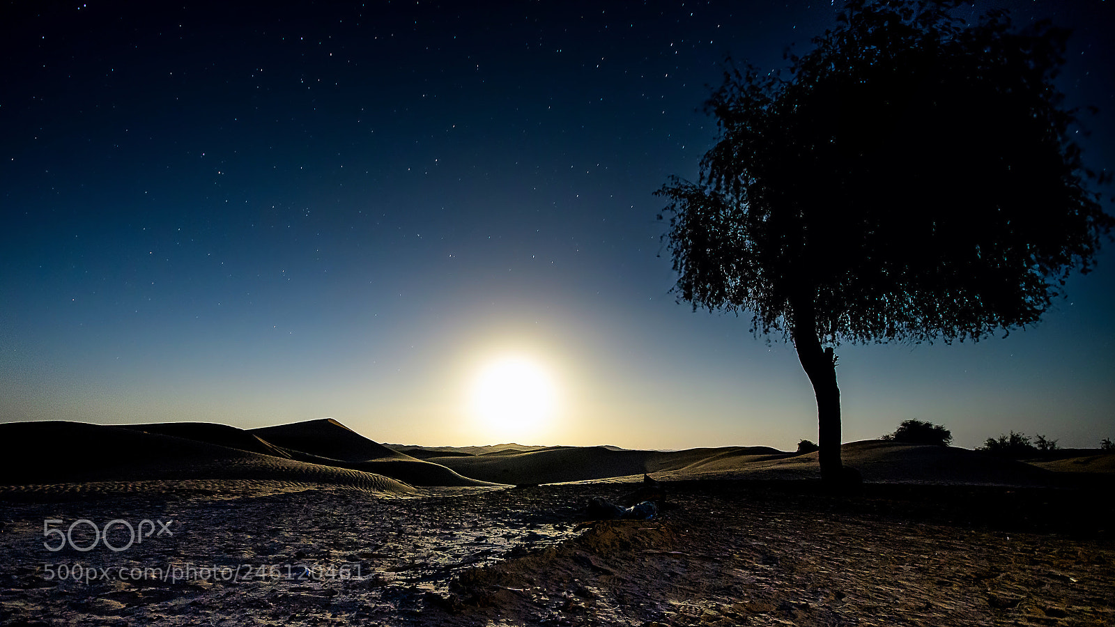 Nikon D500 sample photo. Desert moonrise photography