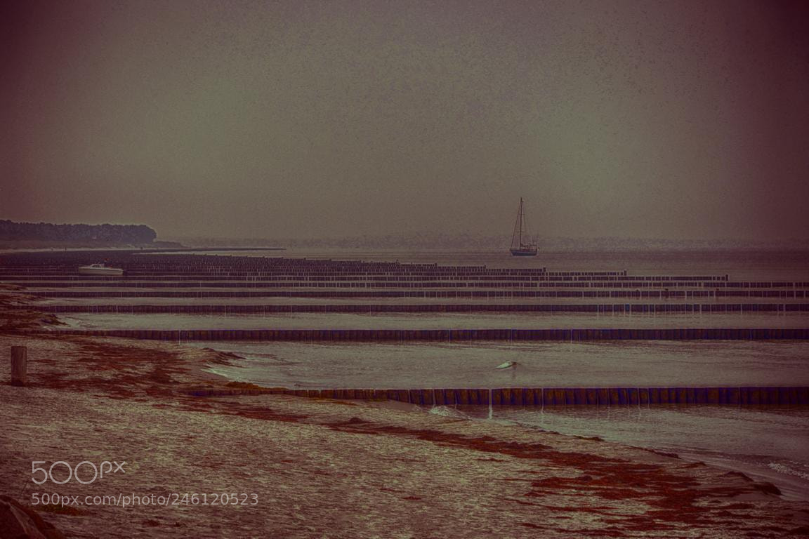 Nikon D5100 sample photo. Hiddensee photography