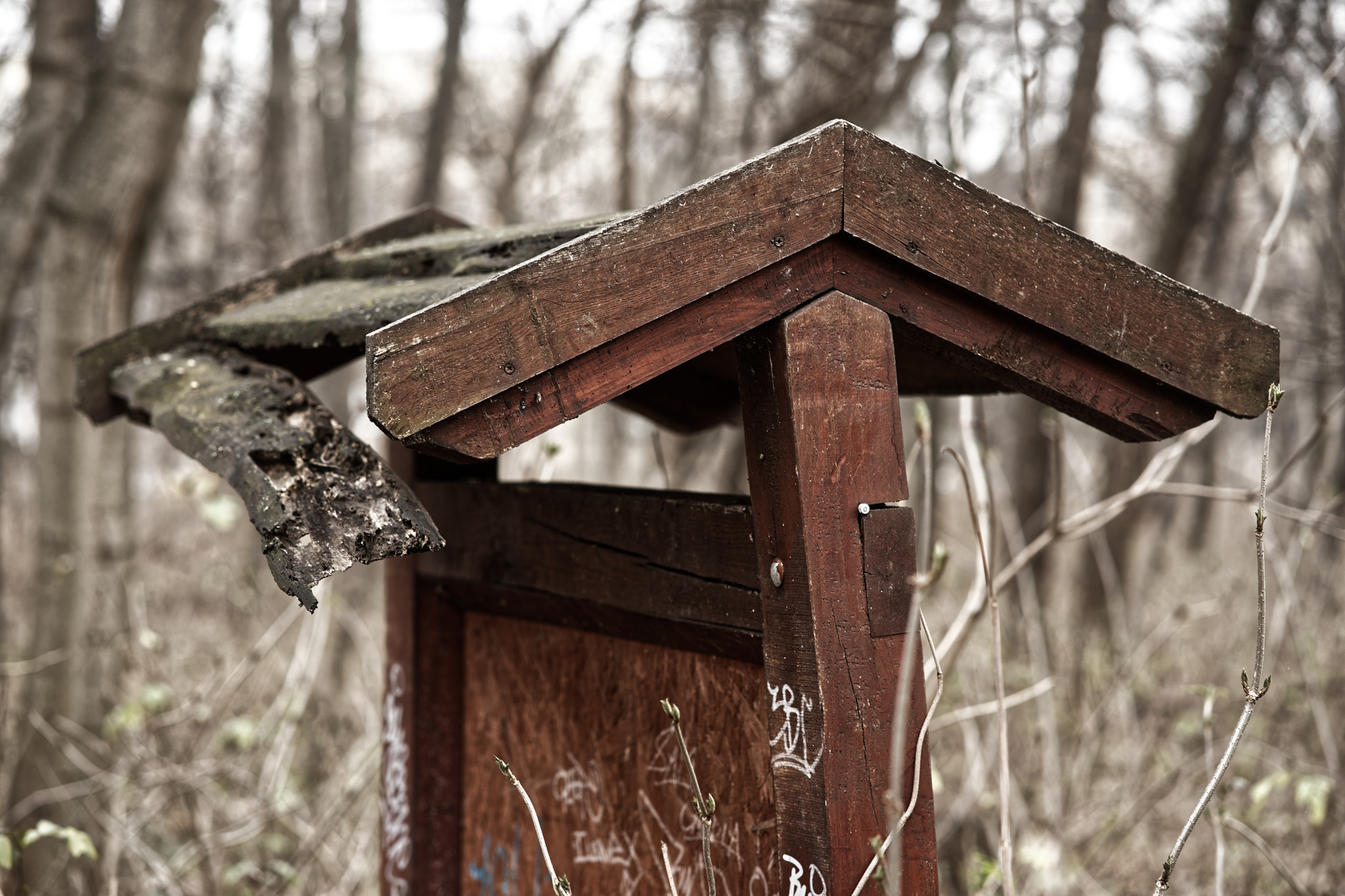 Sony a7 II + ZEISS Batis 85mm F1.8 sample photo. Slow decline photography