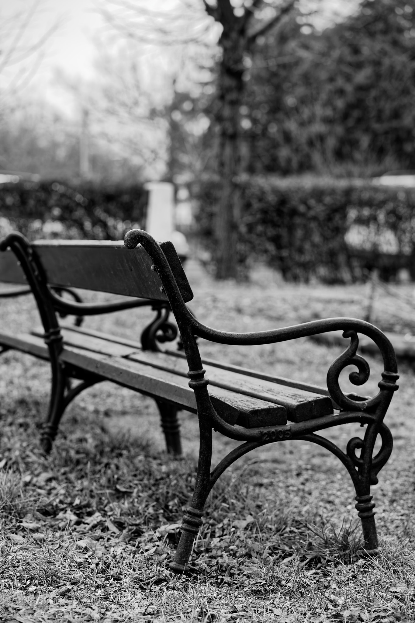 ZEISS Batis 85mm F1.8 sample photo. Please take a seat photography