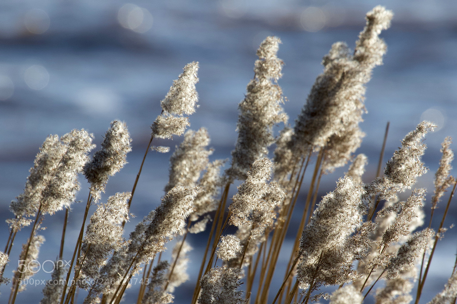 Canon EOS 7D Mark II sample photo. Wind, sun & water 1 photography