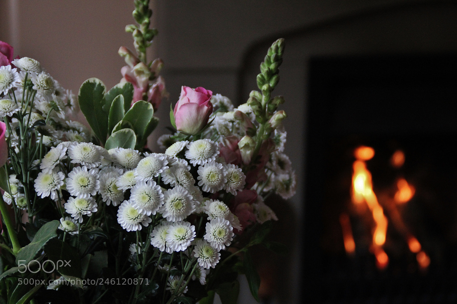 Canon EOS 60D sample photo. Img photography