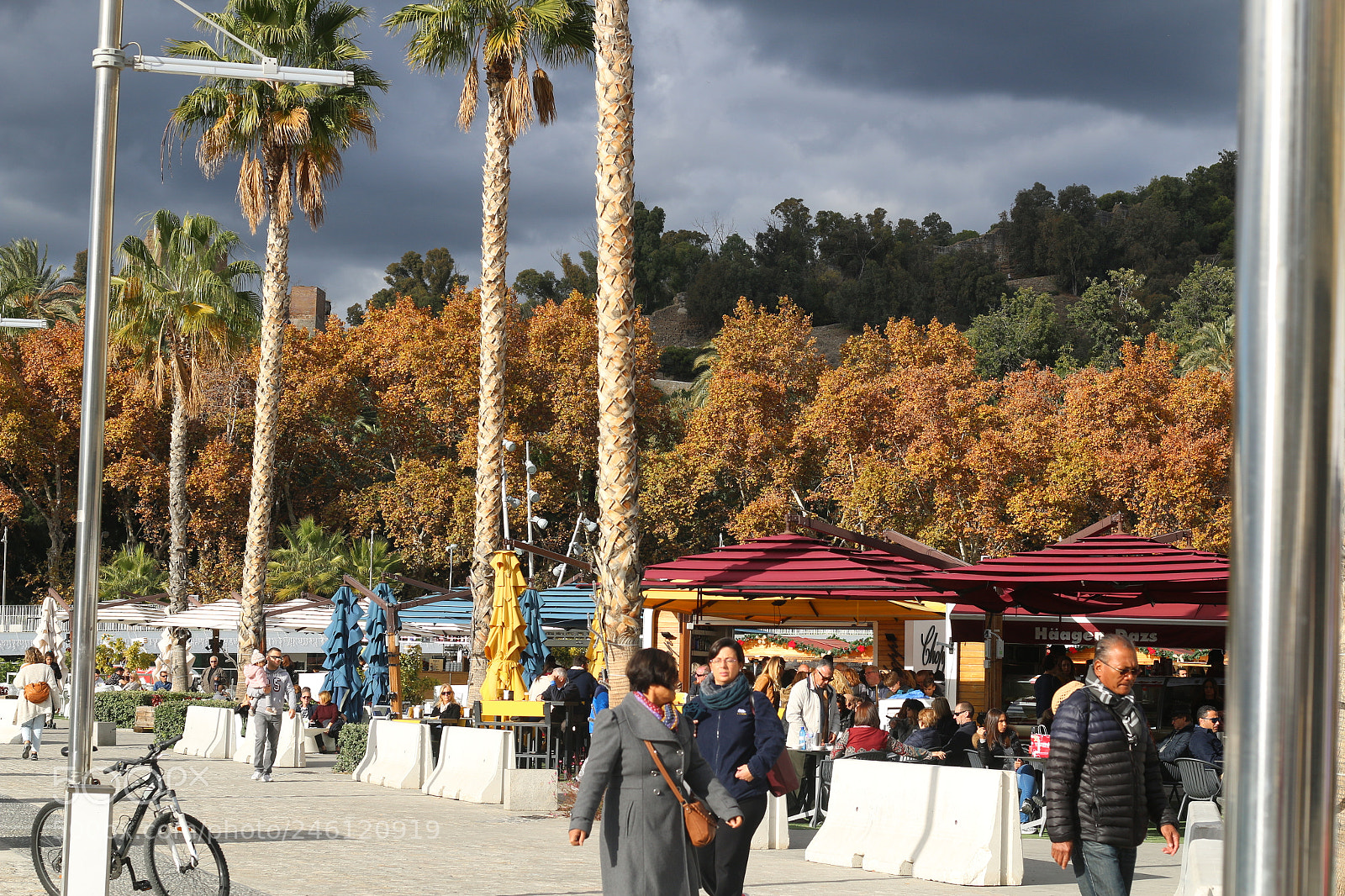 Canon EOS 70D + Canon EF 50mm F1.8 STM sample photo. Img photography