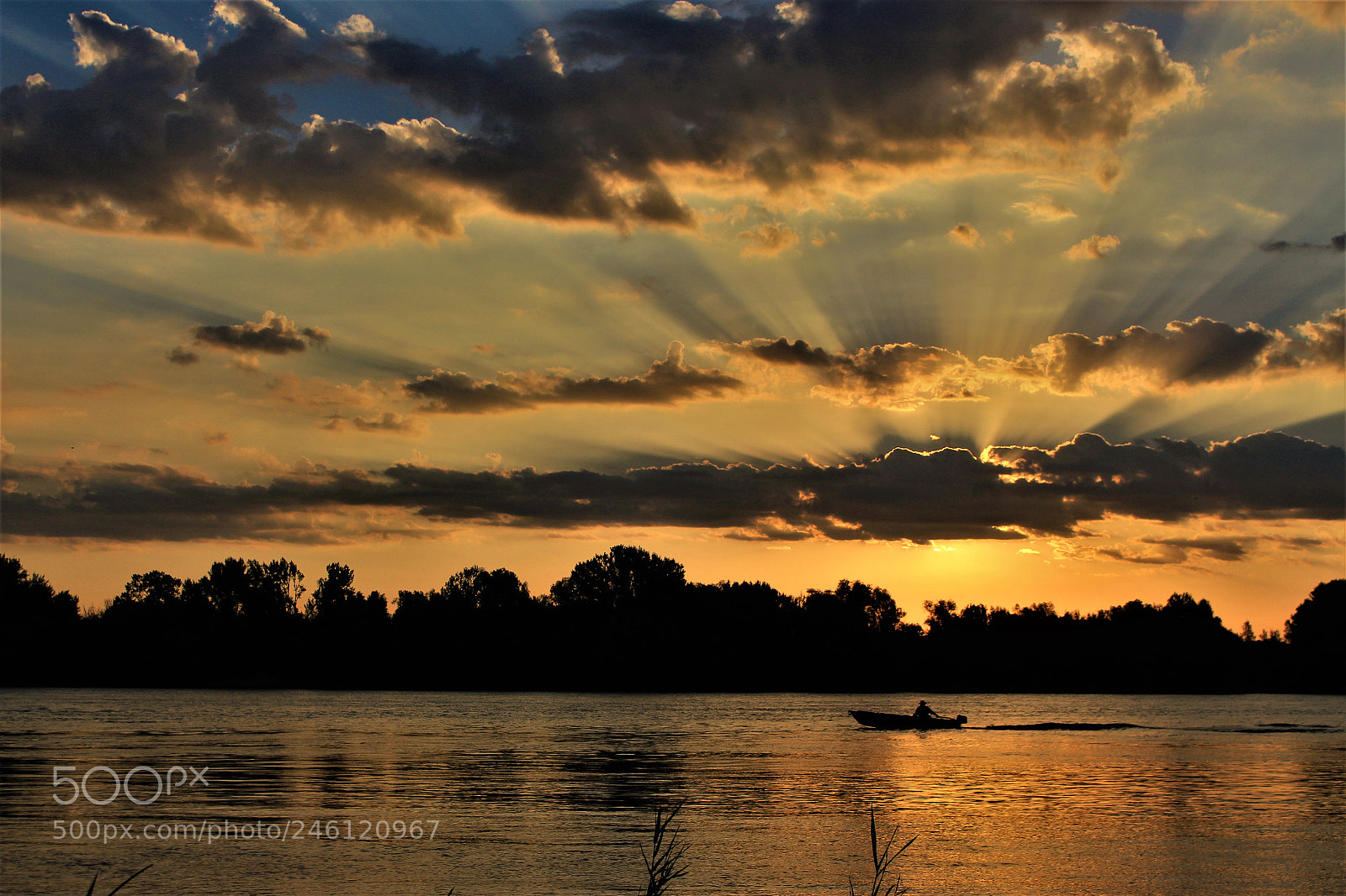 Canon EOS 700D (EOS Rebel T5i / EOS Kiss X7i) sample photo. Golden morning photography