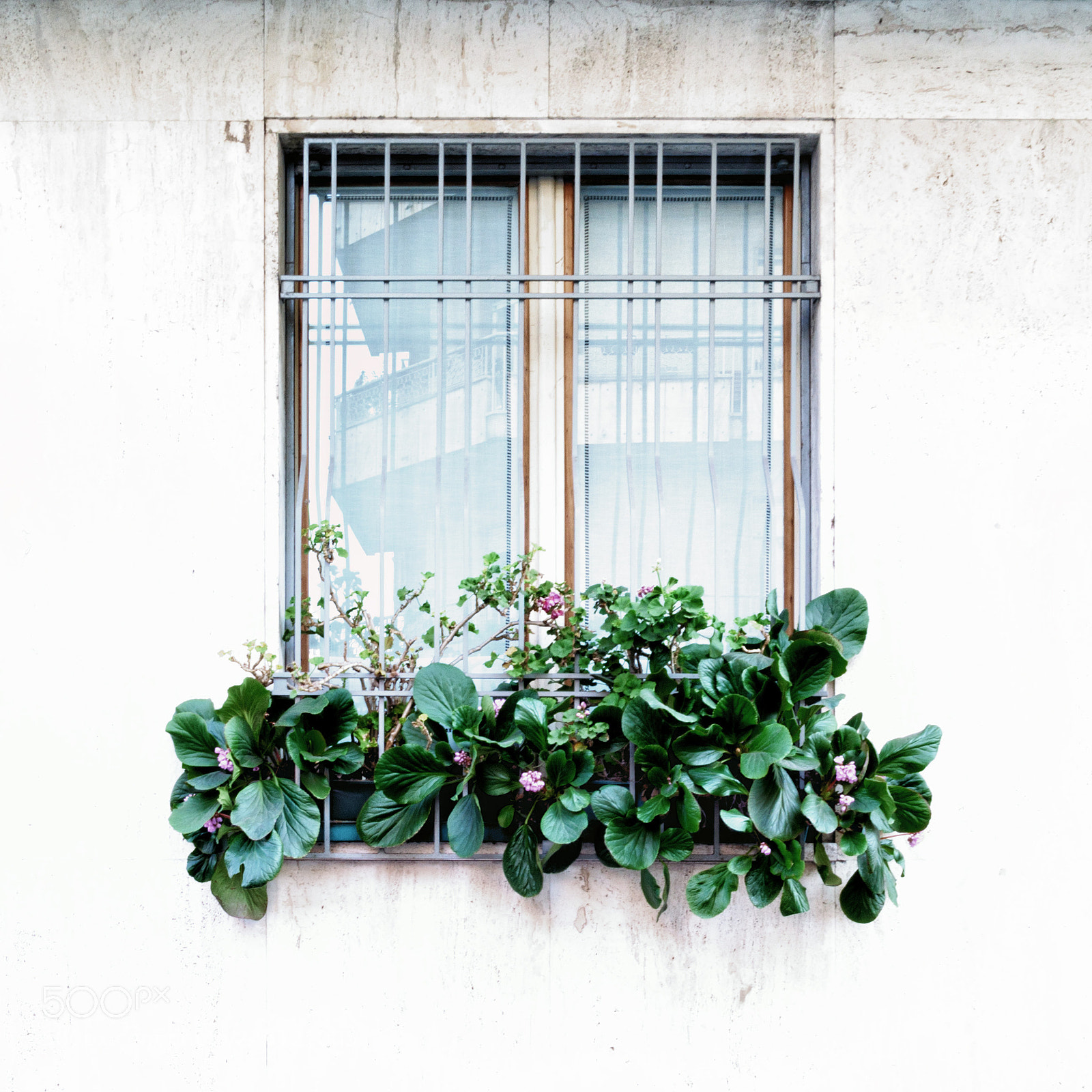 Nikon D5100 sample photo. Window photography