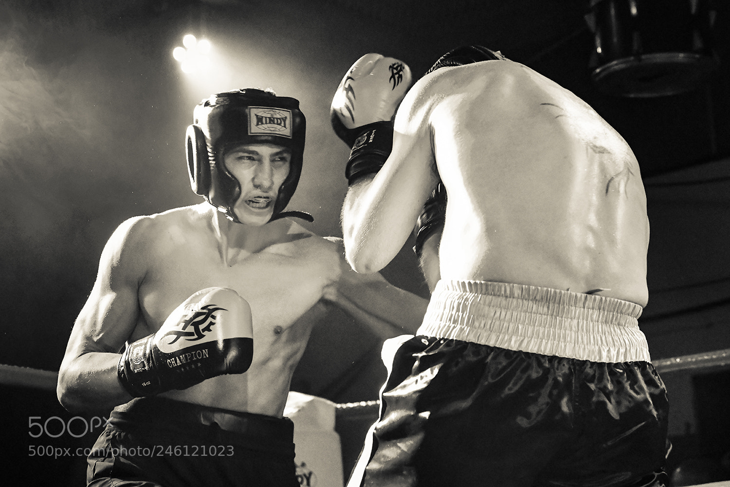 Nikon D850 sample photo. Fight night photography