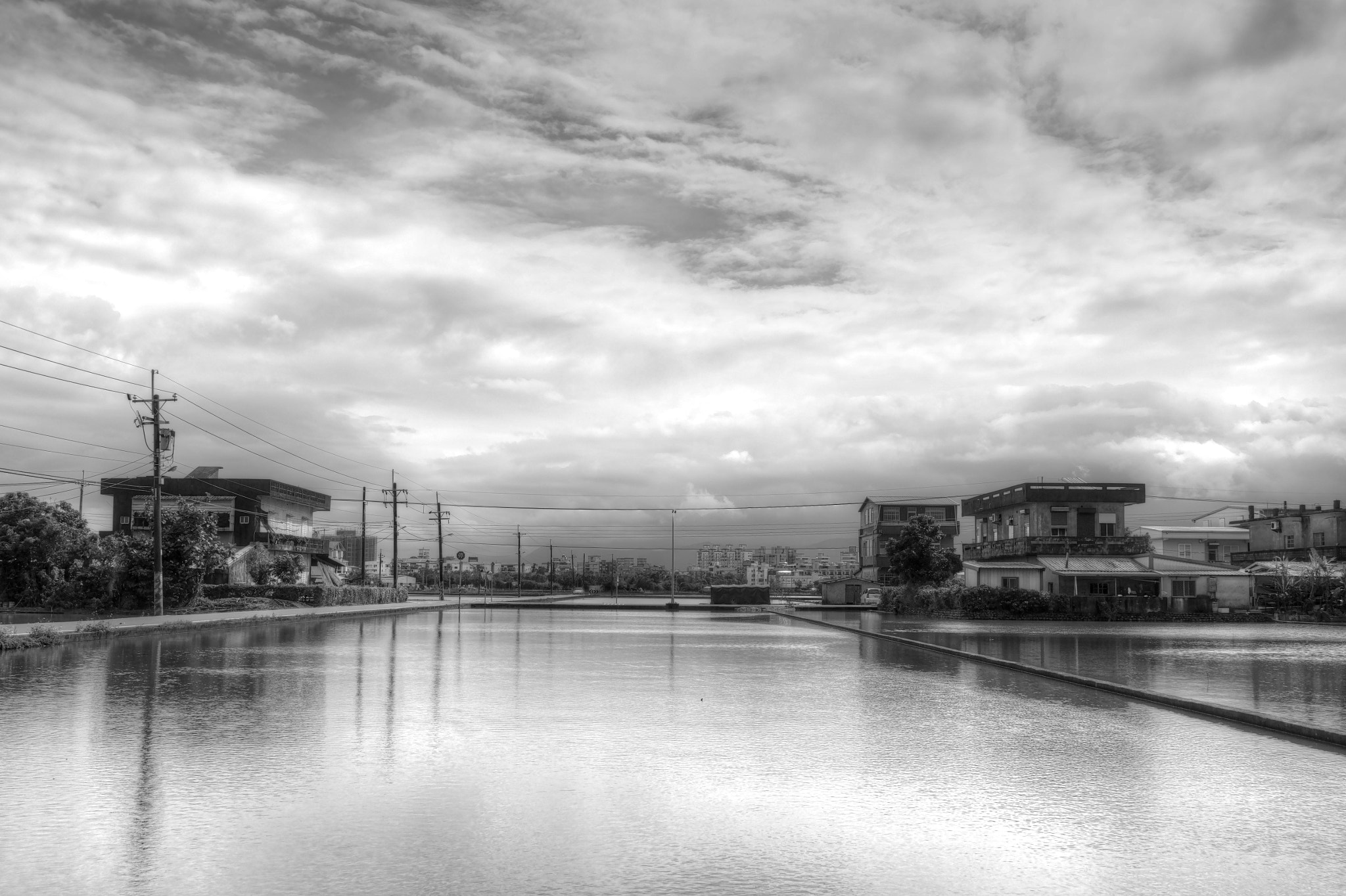 Sigma dp1 Quattro sample photo. Rice field photography