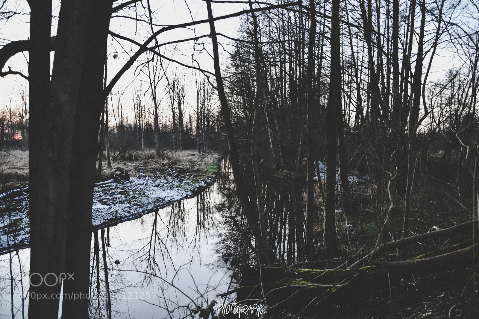 Nikon D5500 sample photo. Fluss an einer lichtung photography