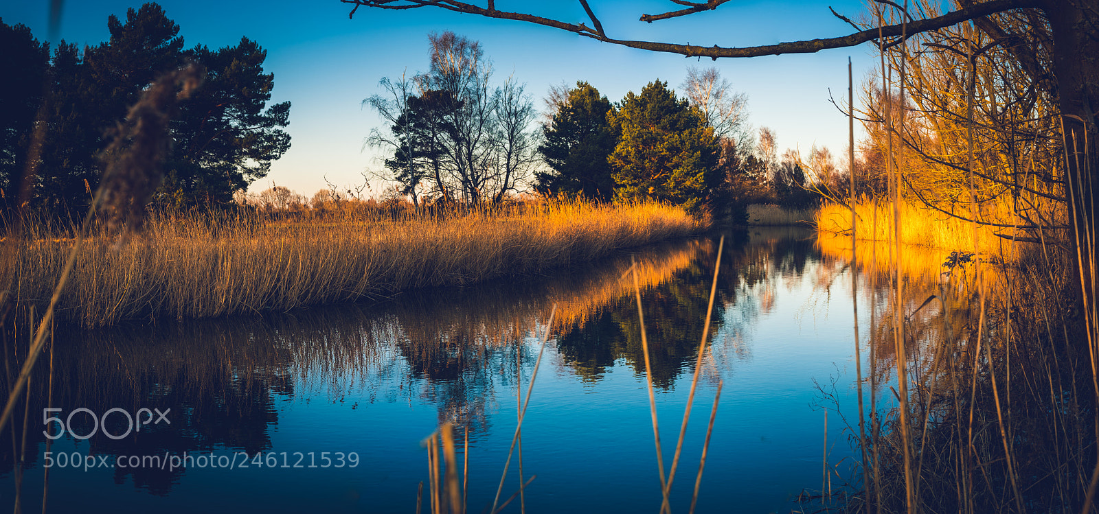 Fujifilm X100F sample photo. Reflections photography