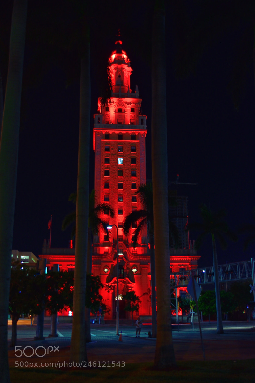 Nikon D5500 sample photo. Miami downtown photography