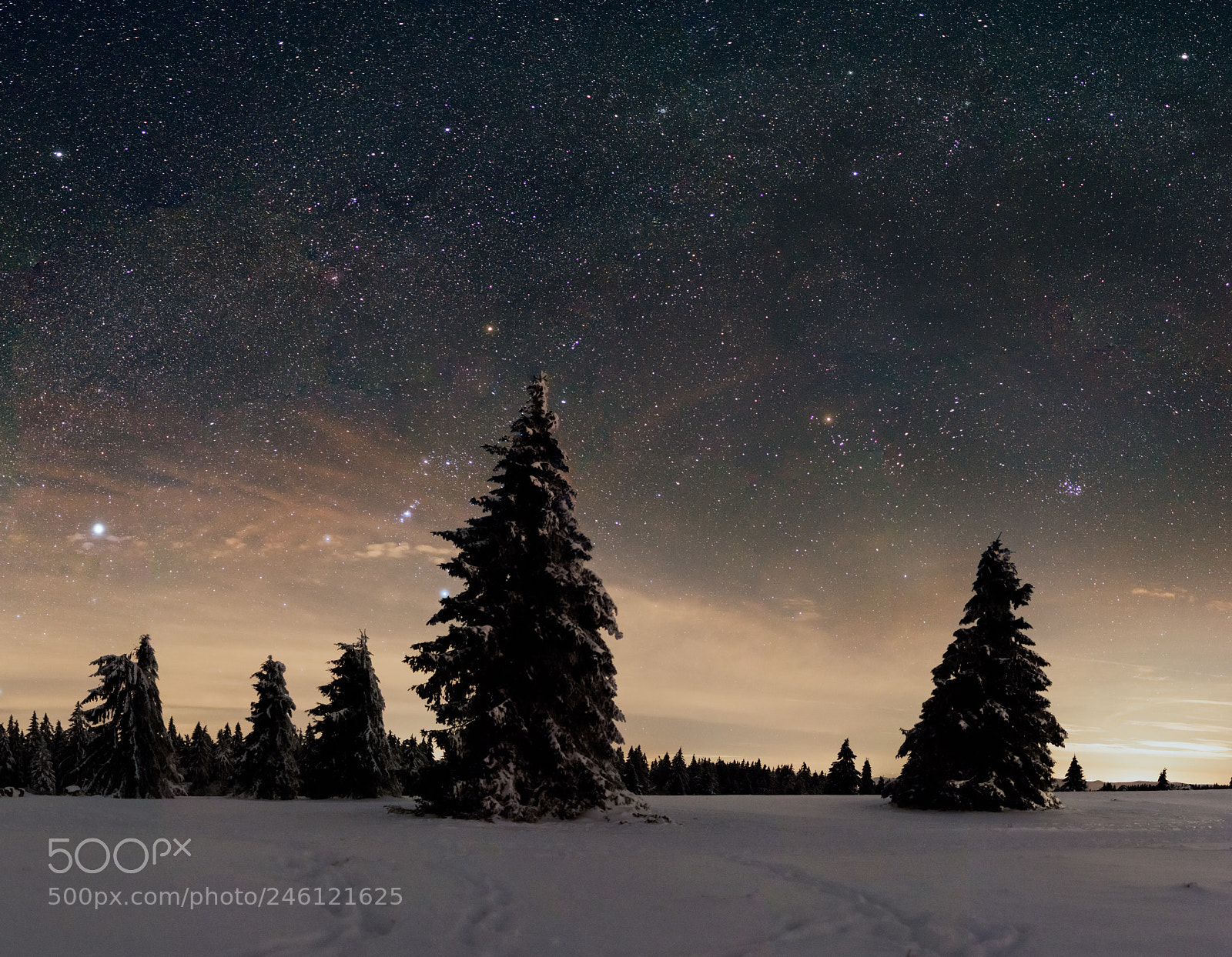 Nikon D5500 sample photo. Winter stars photography