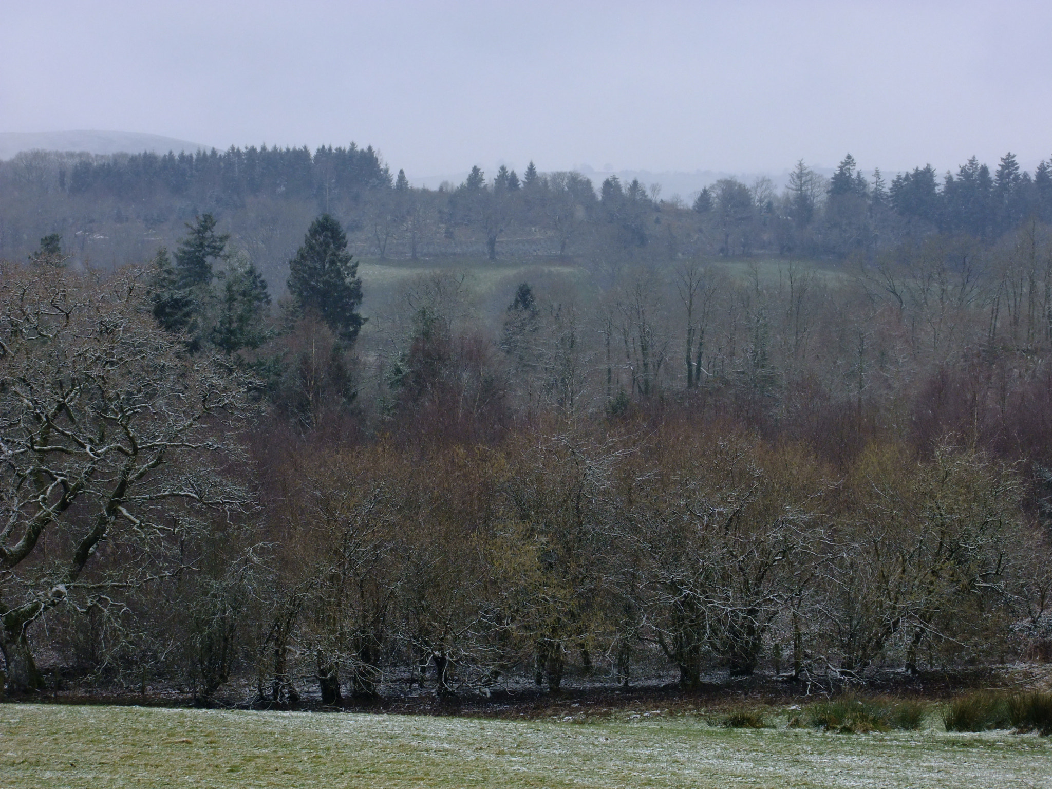 FujiFilm FinePix S200EXR (FinePix S205EXR) sample photo. Welsh landscape with trees. photography