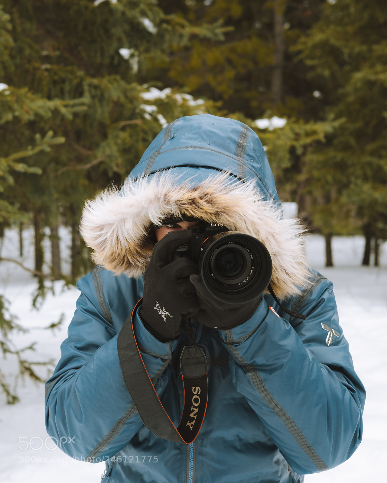 Fujifilm X-T2 sample photo. Yukon, canada photography