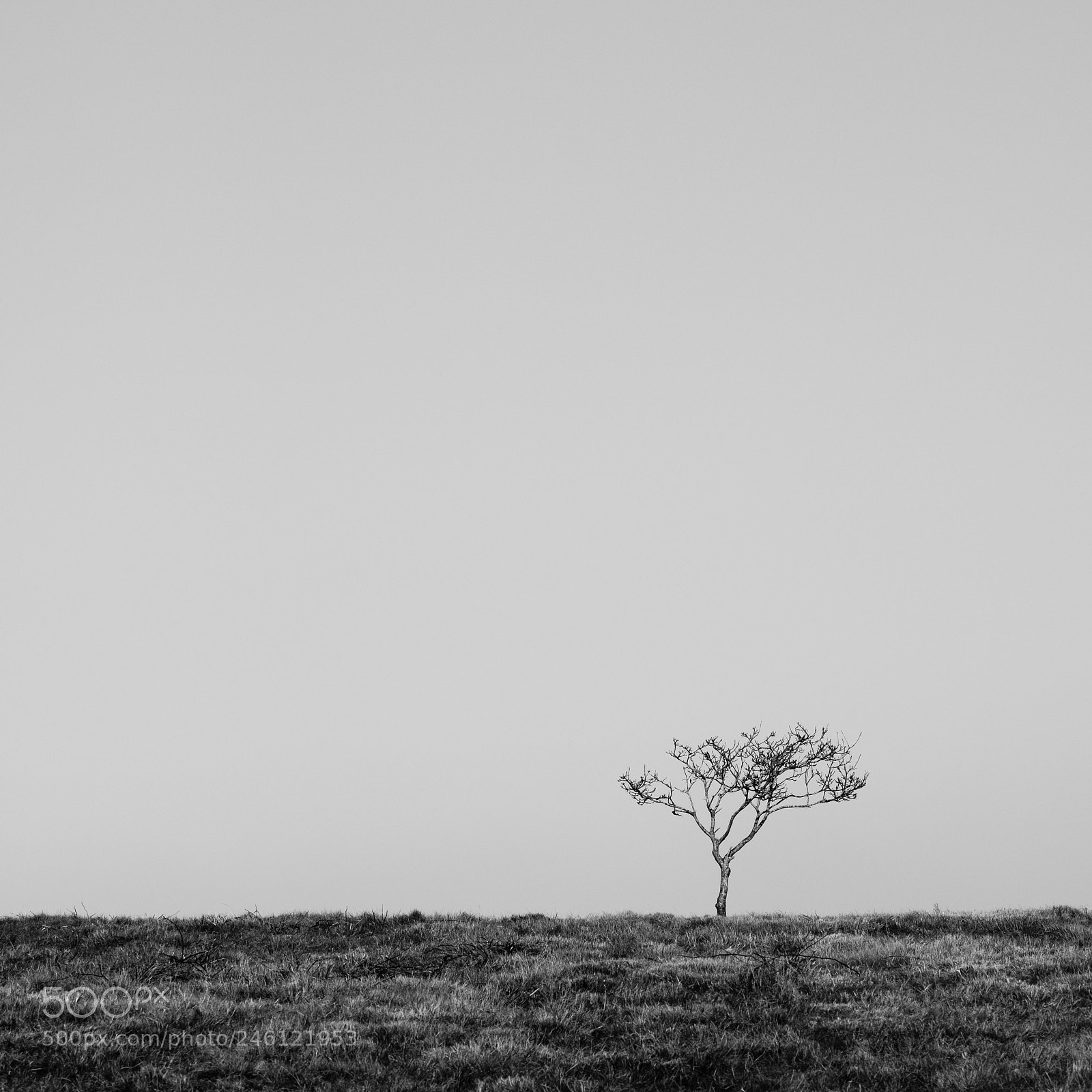 Fujifilm X-T2 sample photo. Negative space photography
