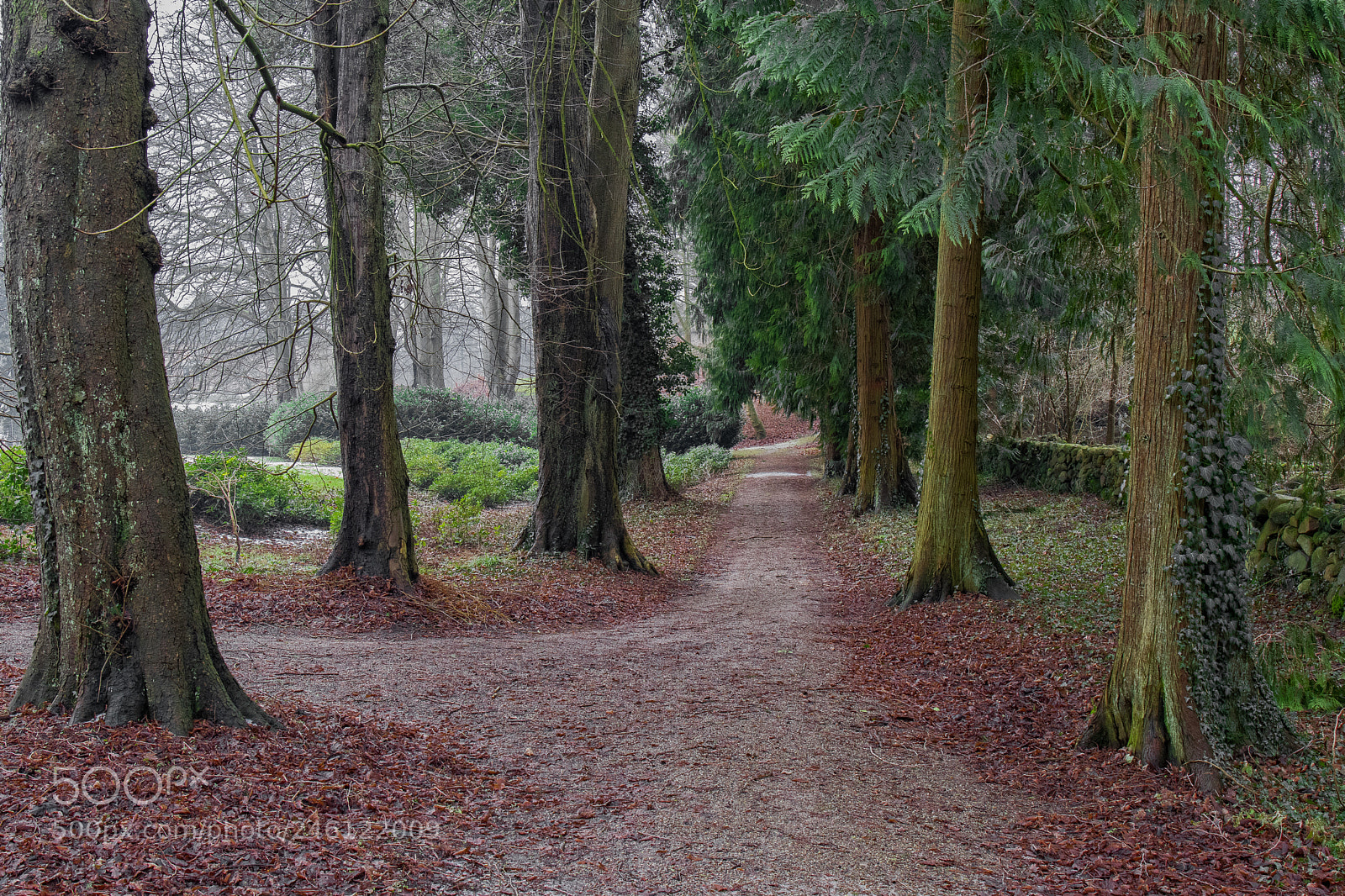 Canon EOS 77D (EOS 9000D / EOS 770D) sample photo. Park perpetual path photography