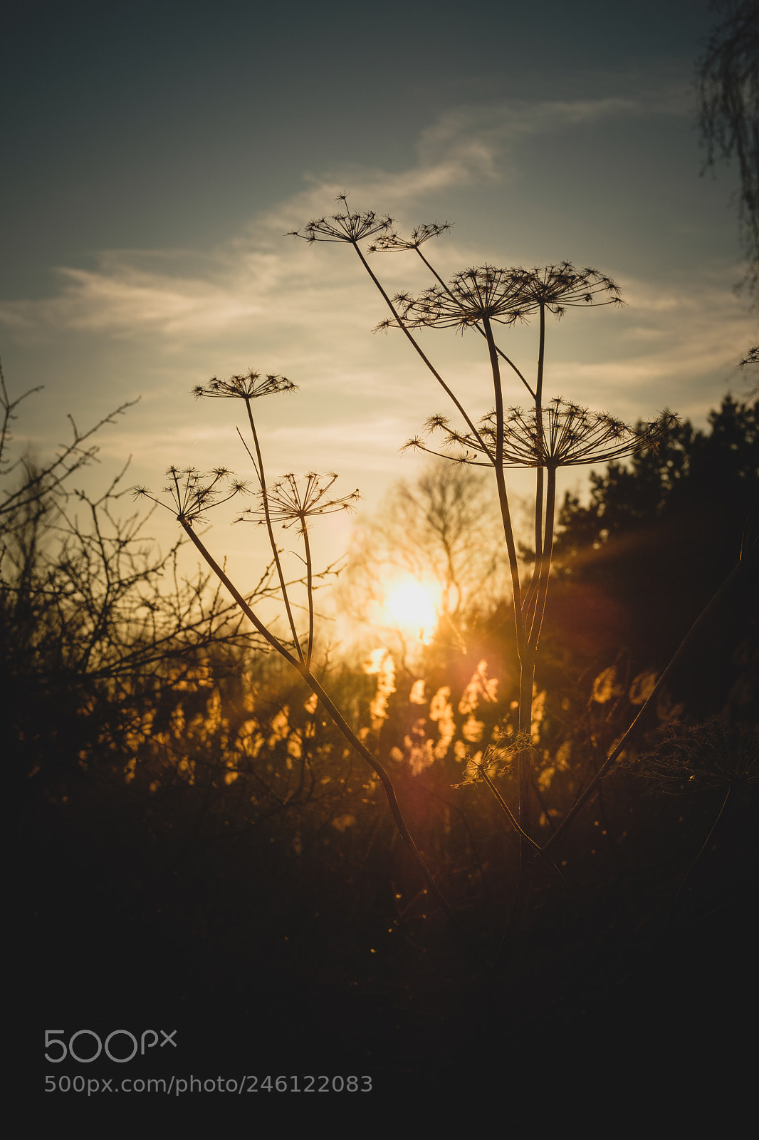 Fujifilm X100F sample photo. Winter sunset photography