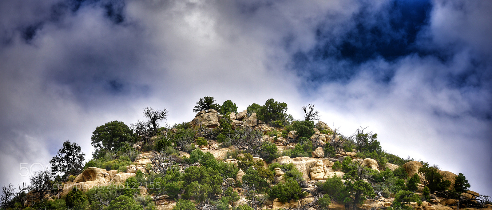 Nikon D810 sample photo. Hilltop, sw colorado photography