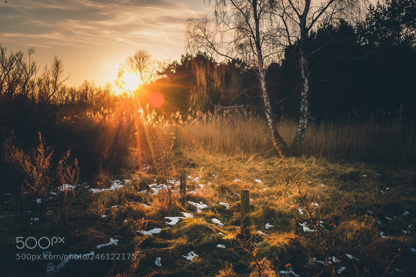 Fujifilm X100F sample photo. Light of winter photography