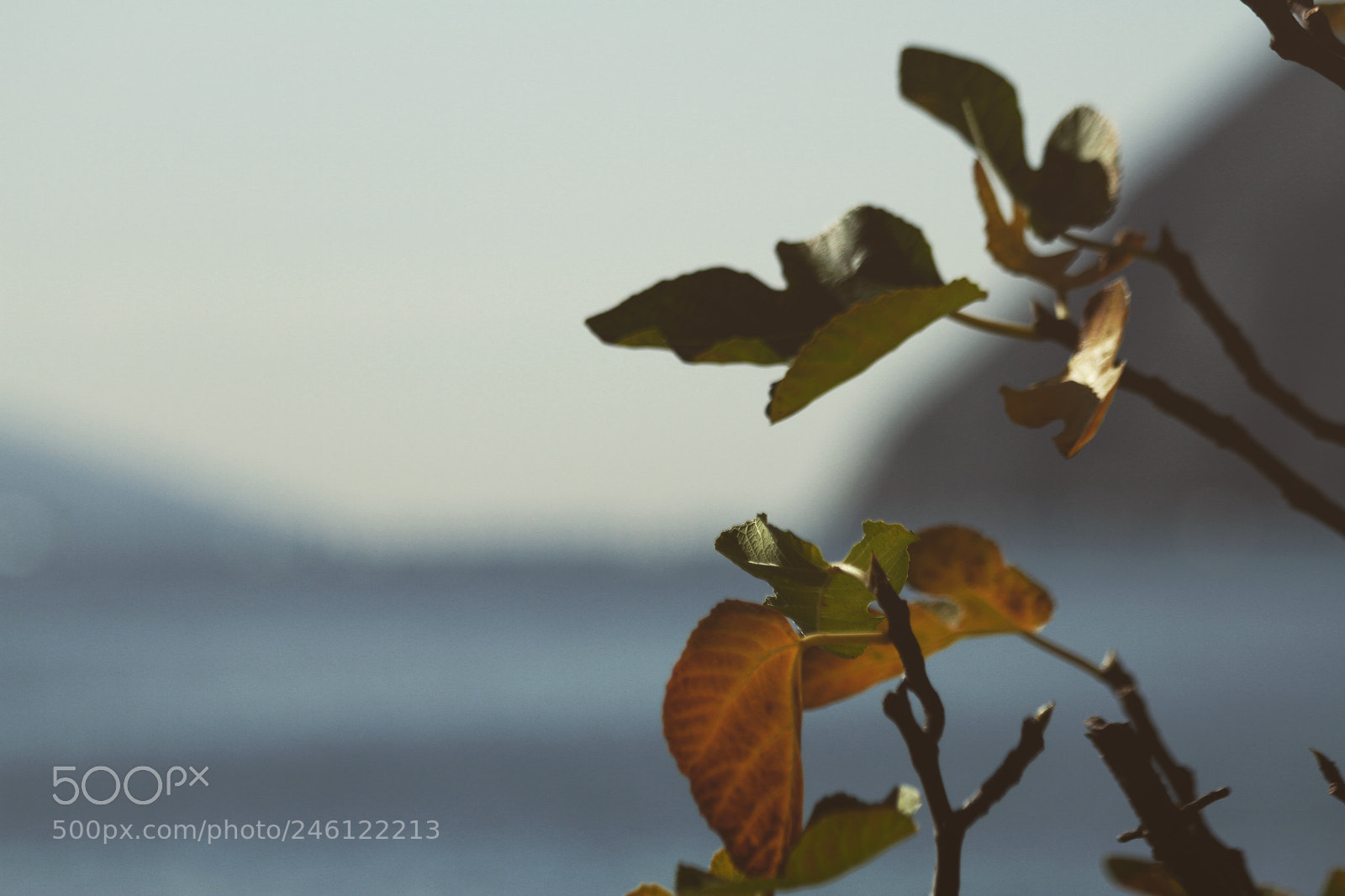 Canon EOS 7D sample photo. Untitled photography