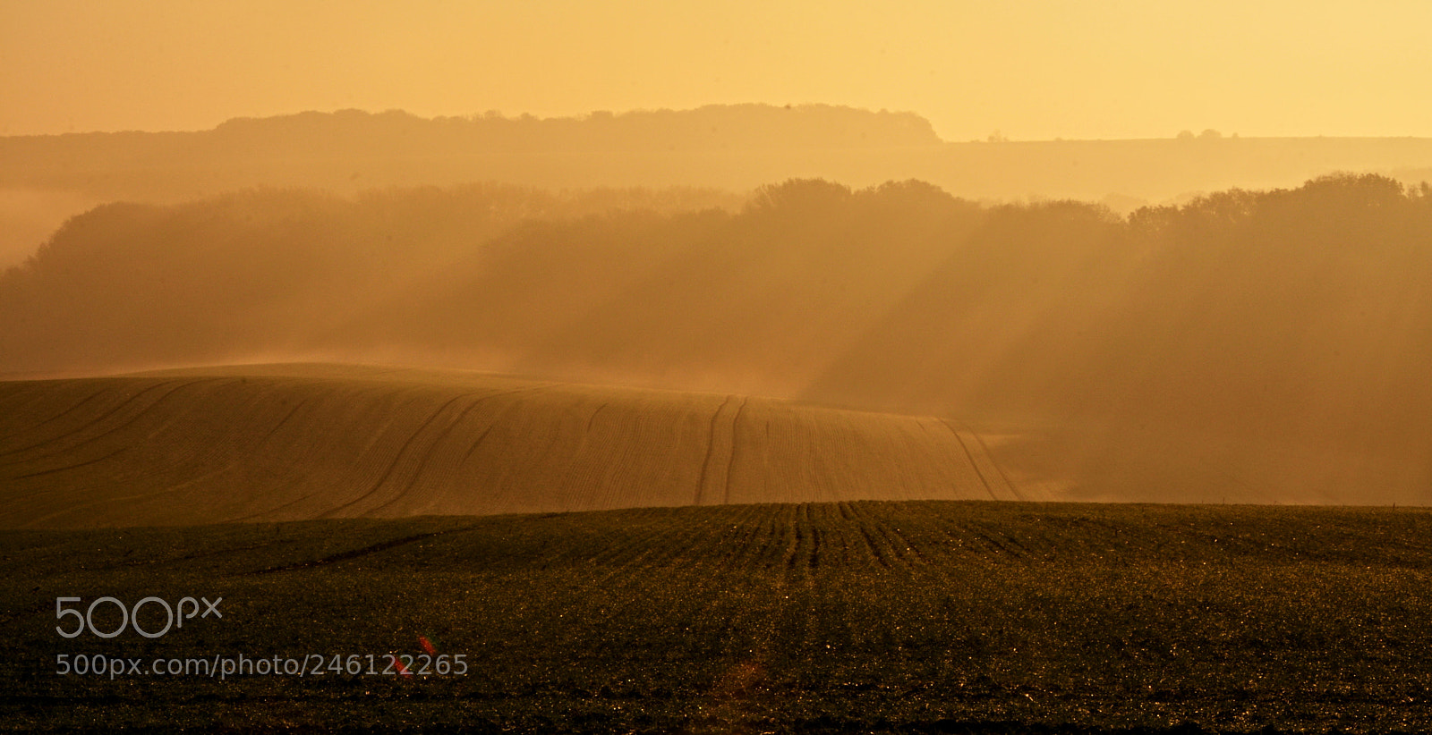 Nikon D7100 sample photo. Morning rays photography