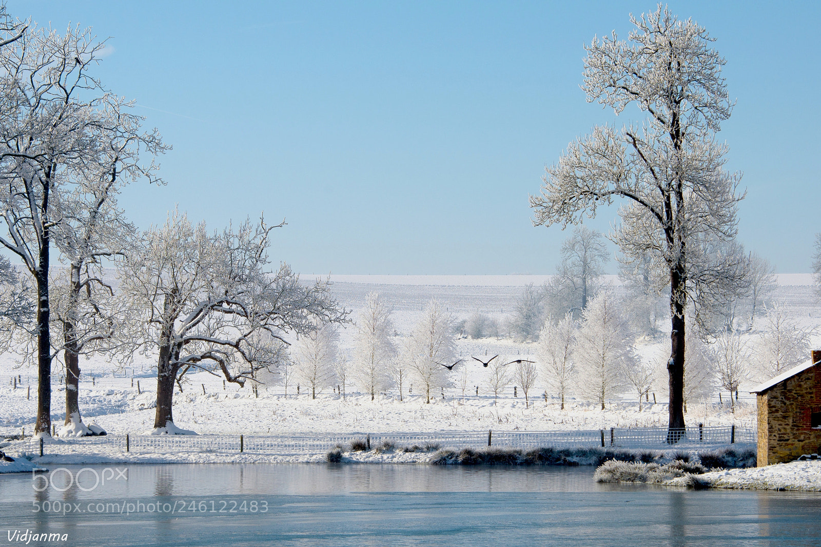 Nikon D610 sample photo. Over the pond photography